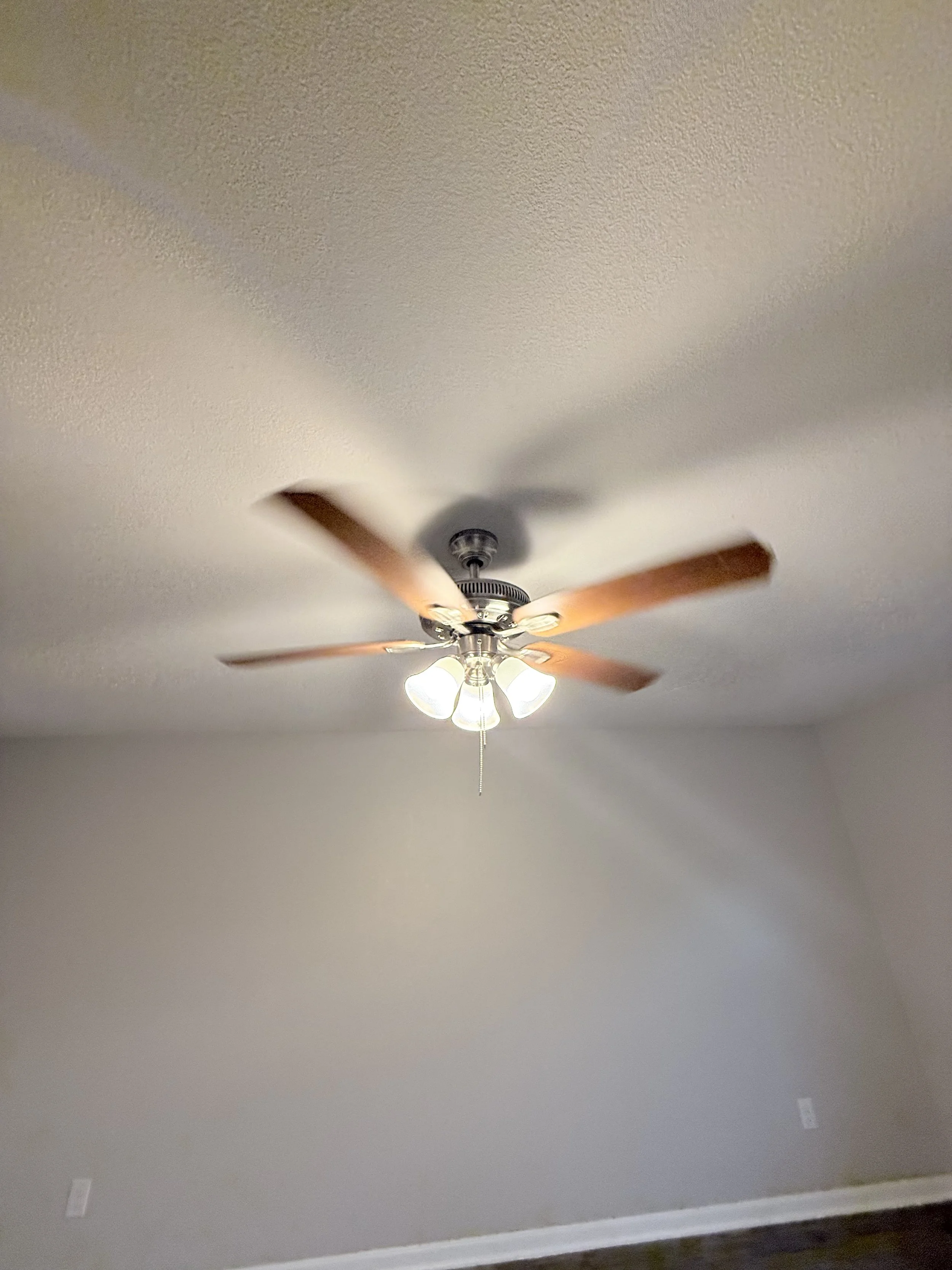 IMG_7611.jpeg