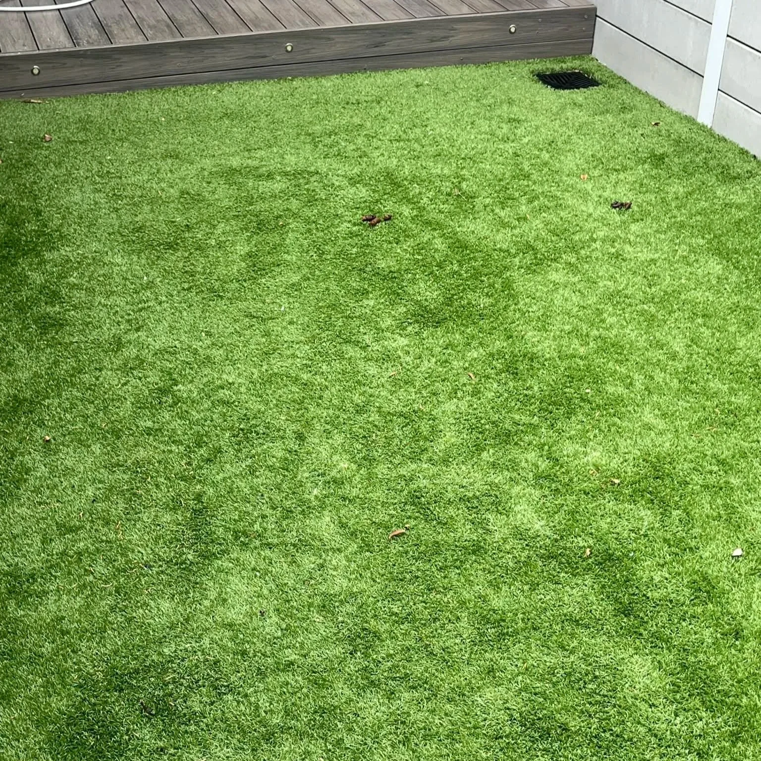 Synthetic turf before