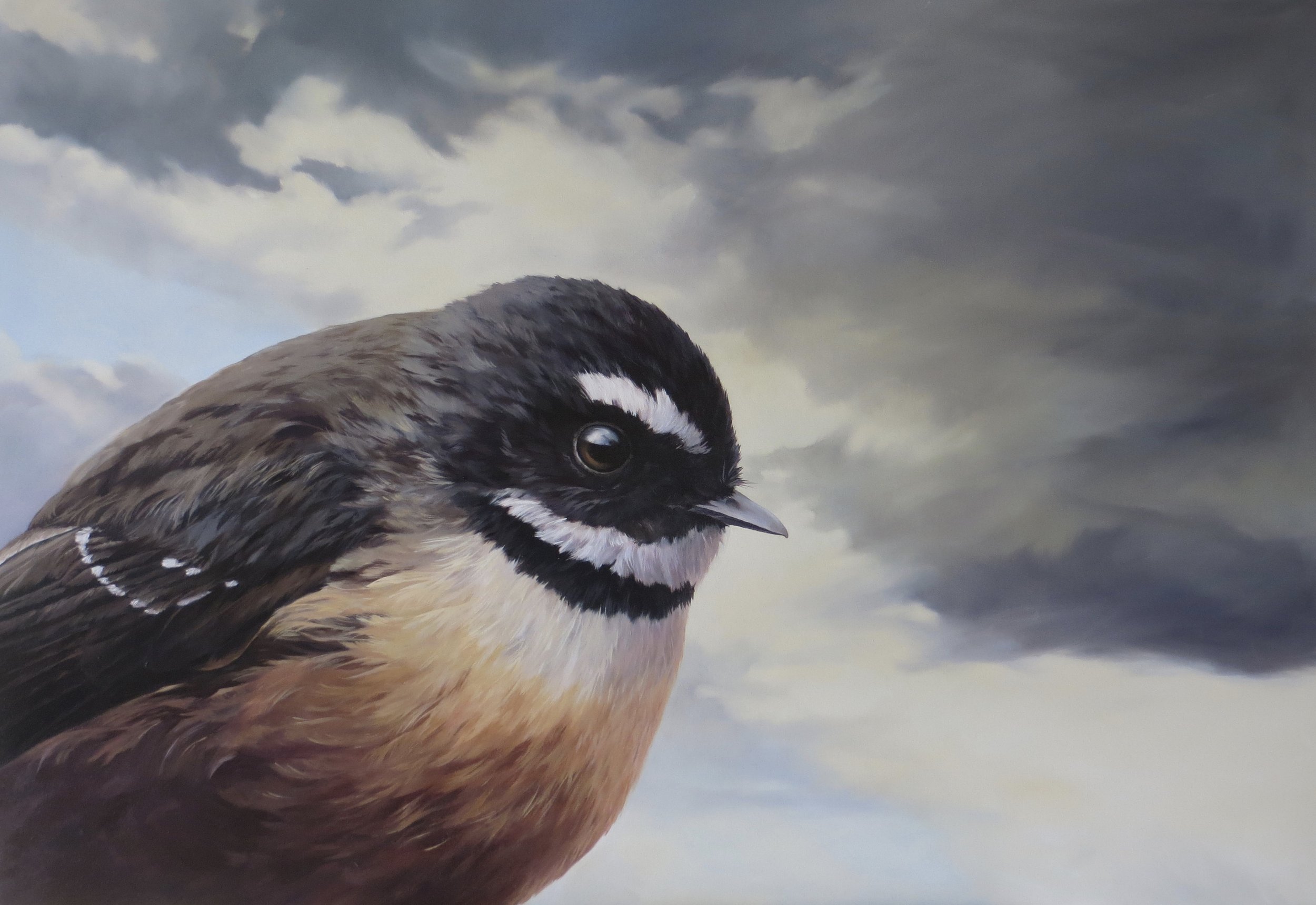 Pīwakawaka (New Zealand Fantail) I A3 Print on Card NZ$60.00