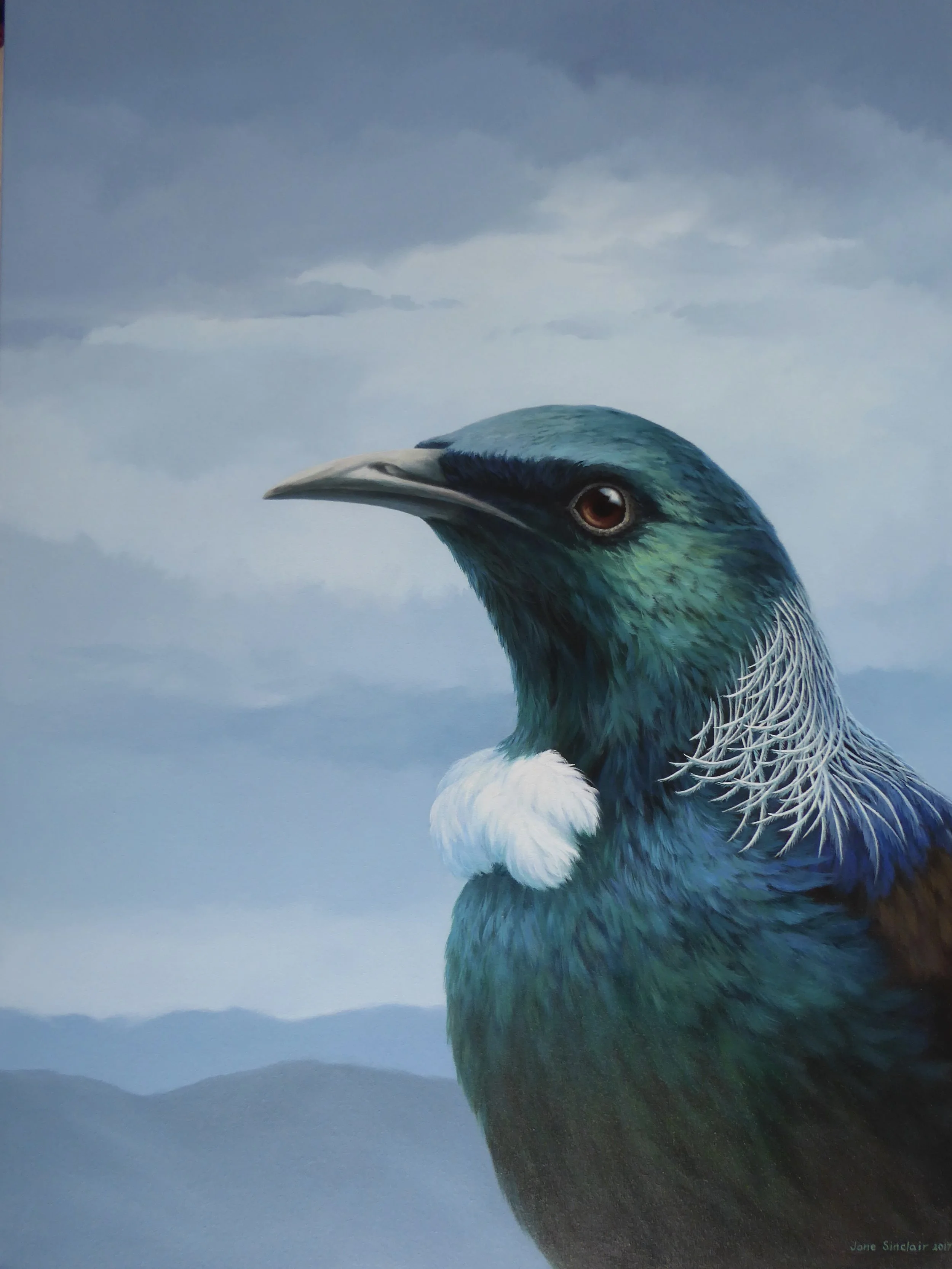 Tūī I A3 Print on Card NZ$60.00