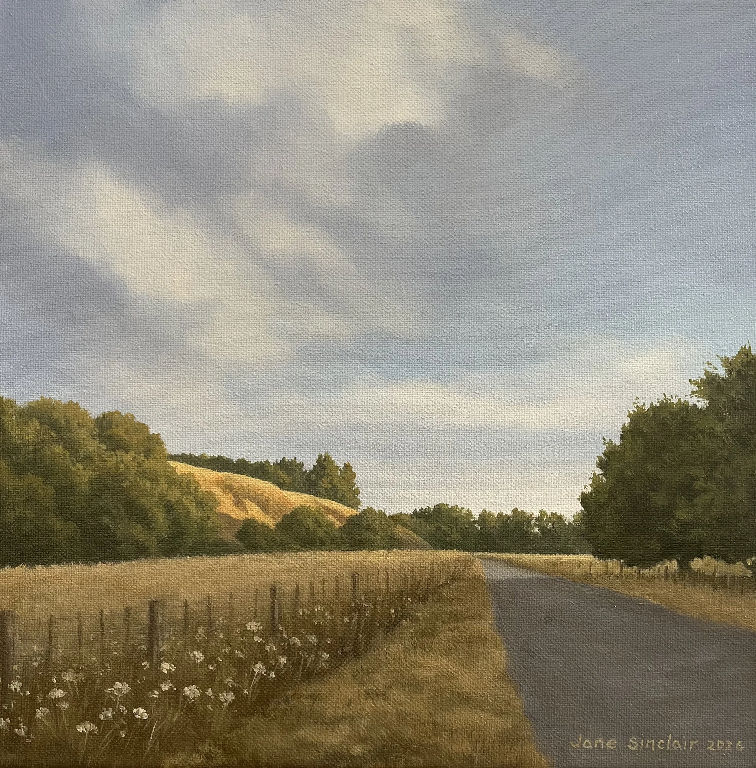 Evening light on golden hills in rural Wairarapa with wildflowers on roadside. Evening walk series. 