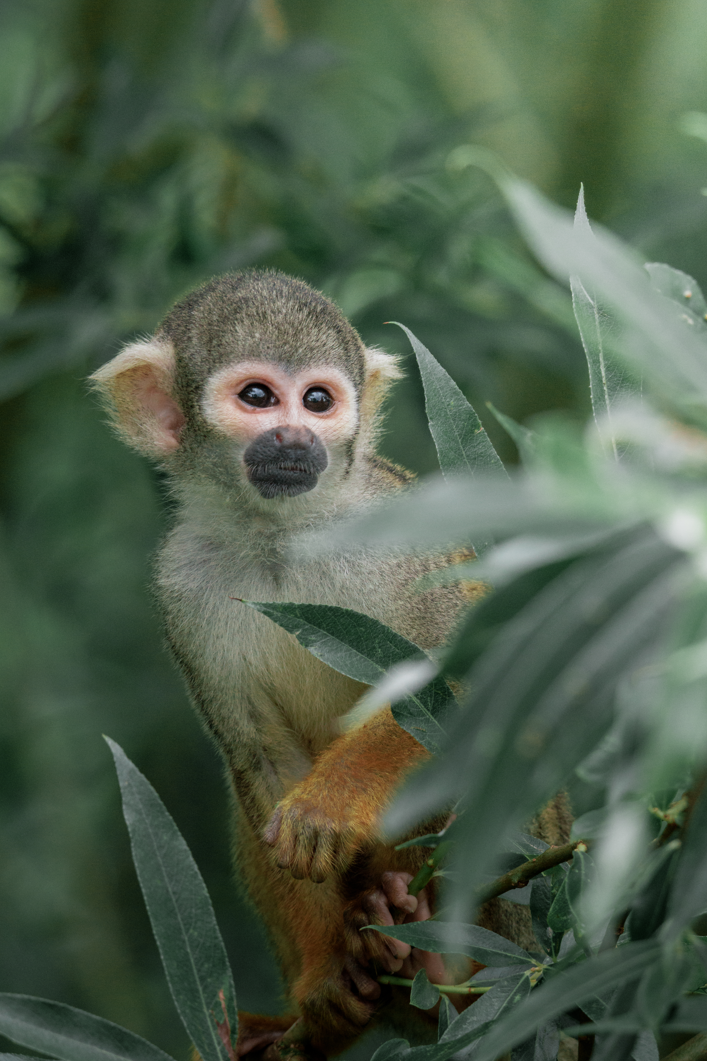 Capture d'écran 2026-03-24 133203.png