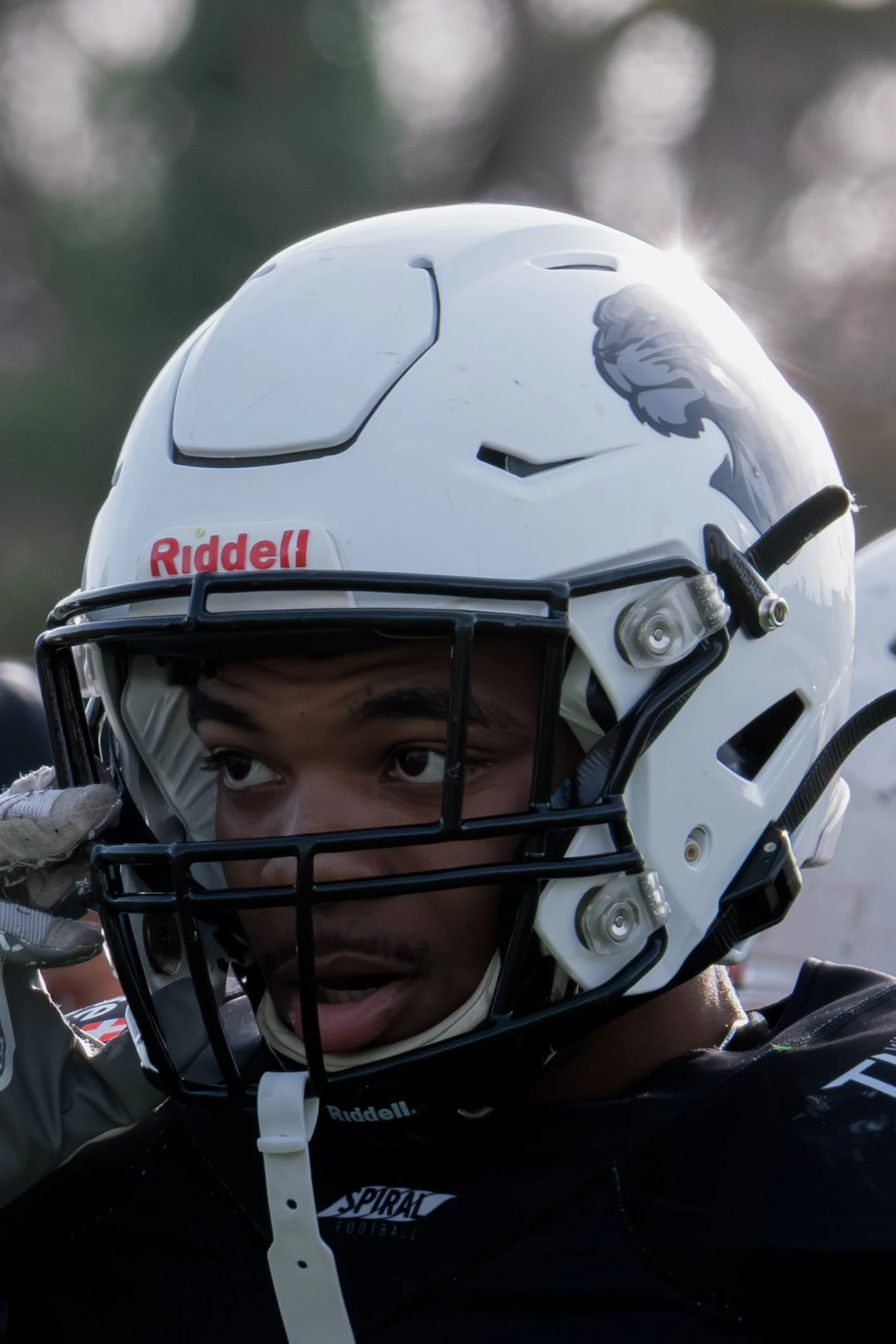 D3 Espoir  -  Black Panthers - Aigles  | 22/02/2026 |