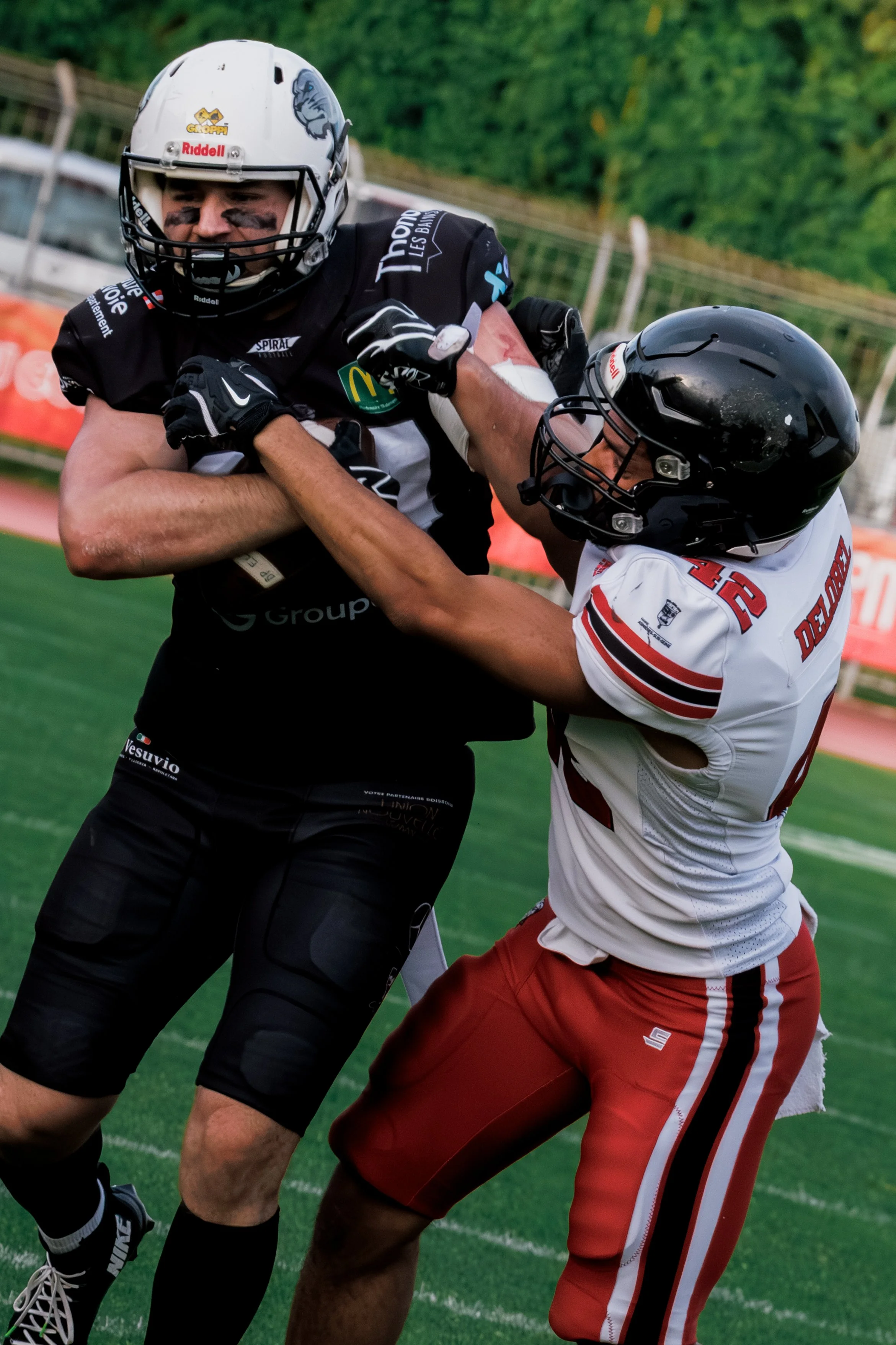 D1 Élite  -  Black Panthers - Molosses  | 09/05/2026 |