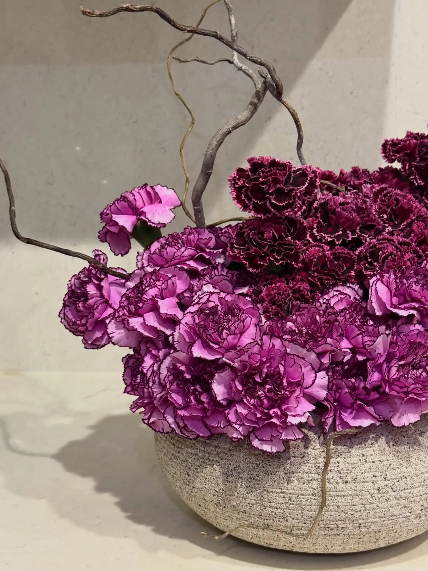 @holybasil_la ❤️&zwj;🔥