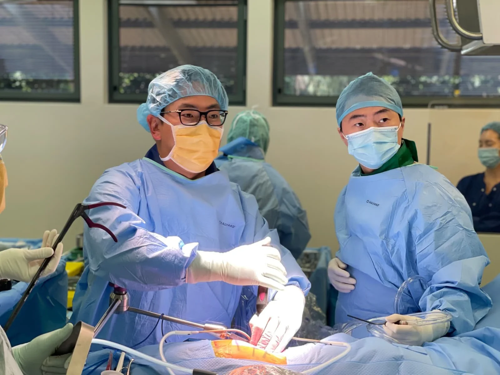 WhatsApp Image 2025-10-18 at 07.28.09_1c4b57a9.jpg