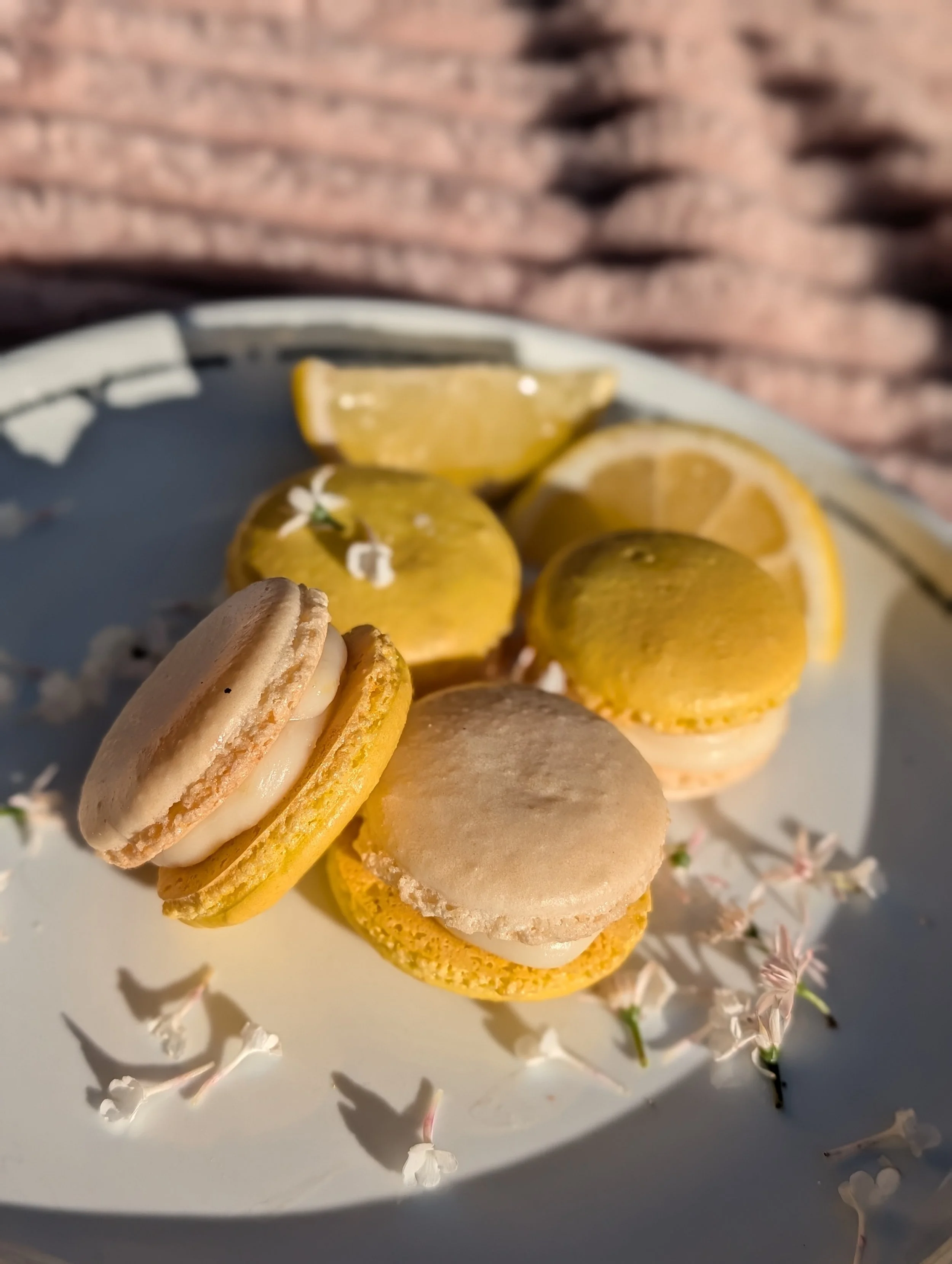 Yuzu Elderflower ~ Seasonal ~