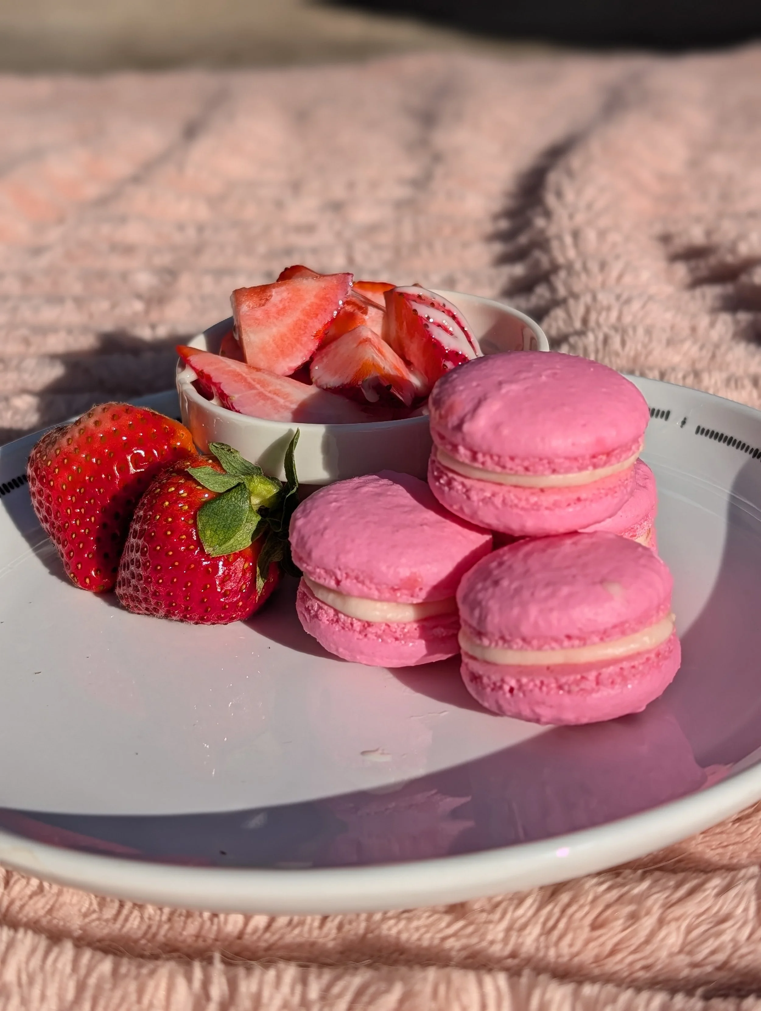 Fresas Con Crema ~ Seasonal ~