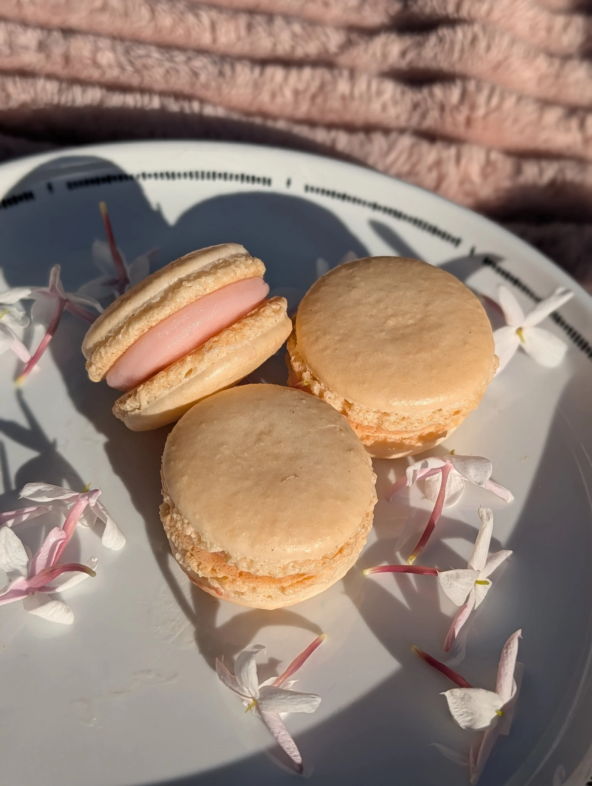 Cherry Blossom ~ Seasonal ~