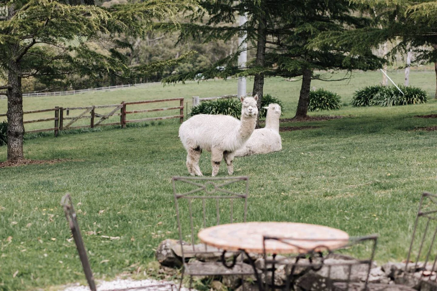Sedalia Farm Cottage 