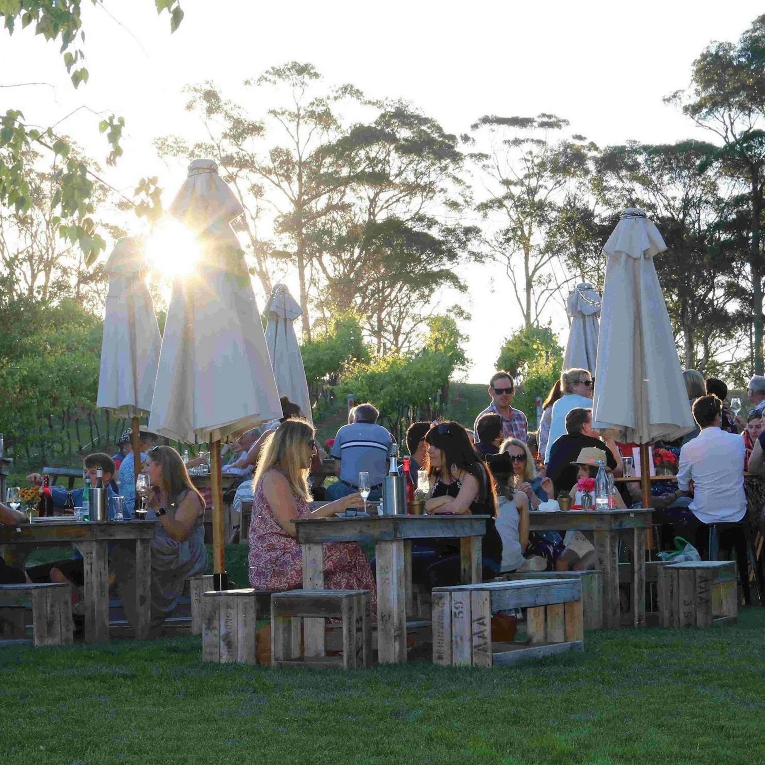 Artemis Wines