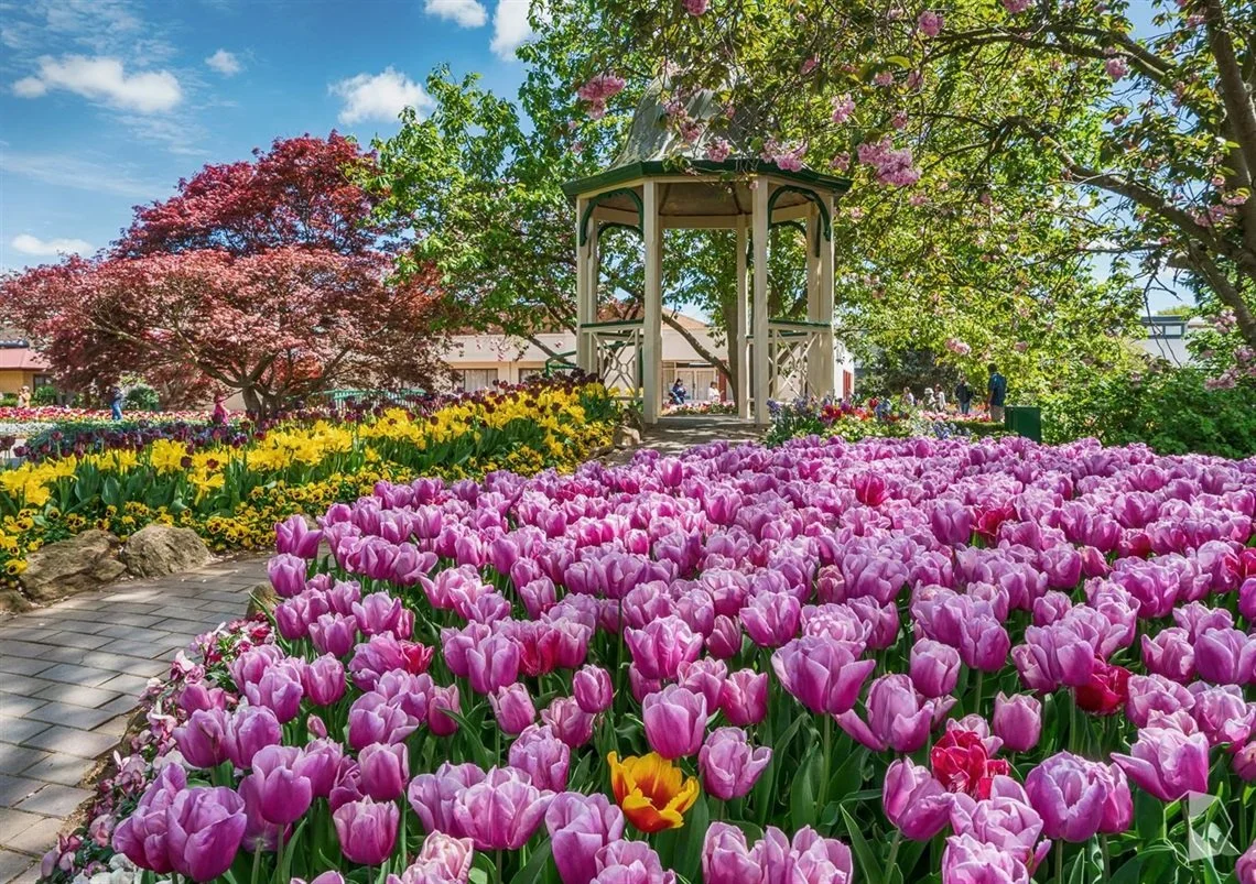 Spring in the Southern Highlands: Gardens, Long Lunches &amp; Things to Do