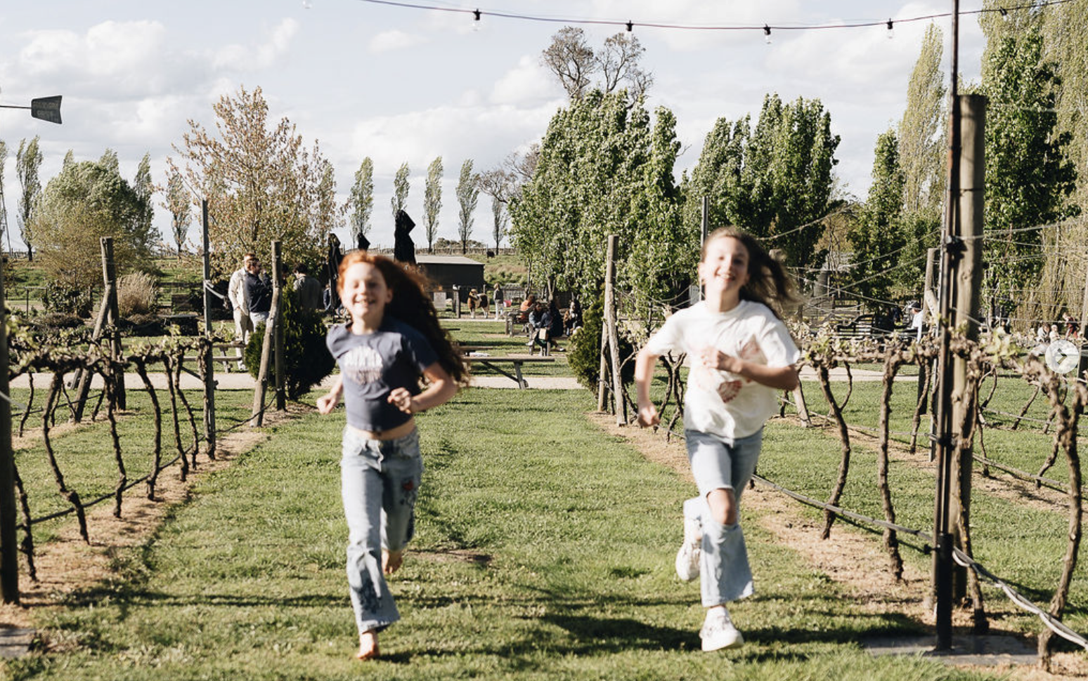Heifer Station Wines