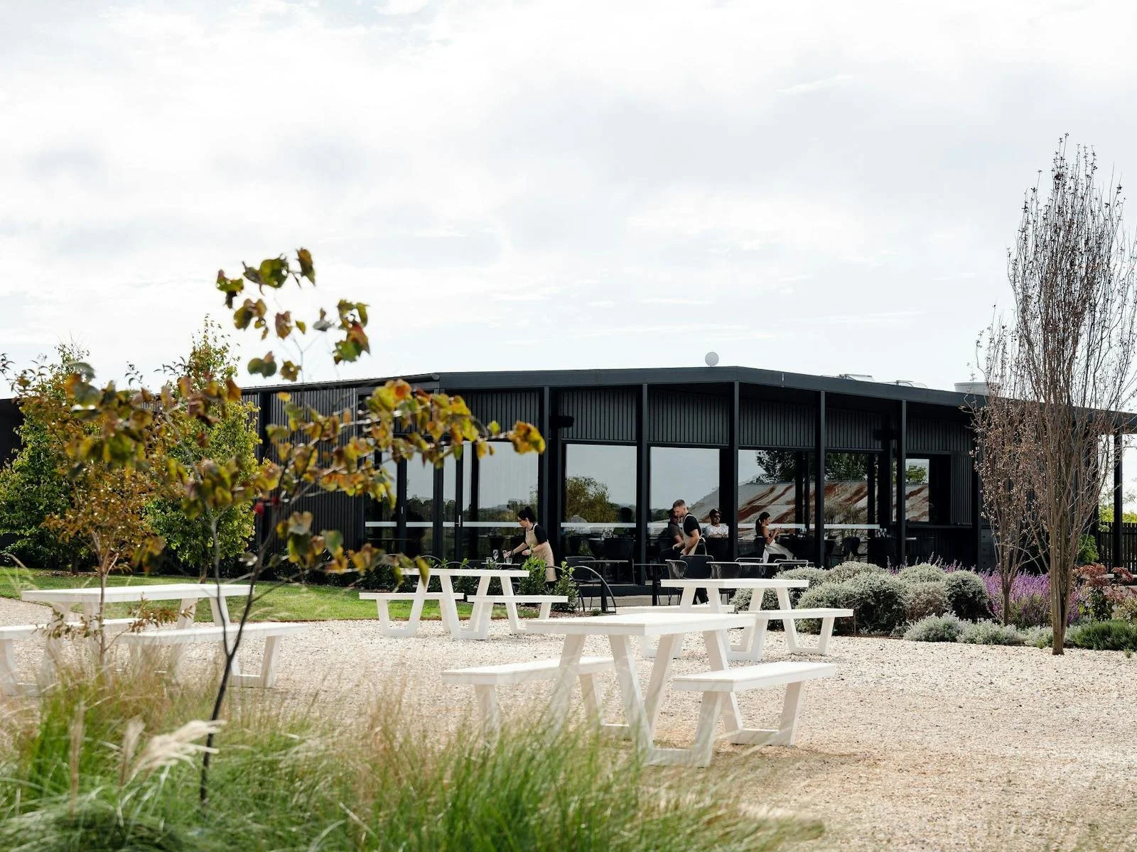 Best Wineries in Orange NSW: Cellar Doors for Every Kind of Weekend