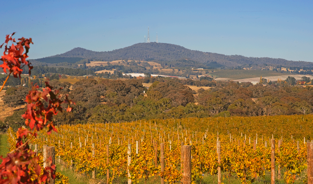 Mount Canobolas