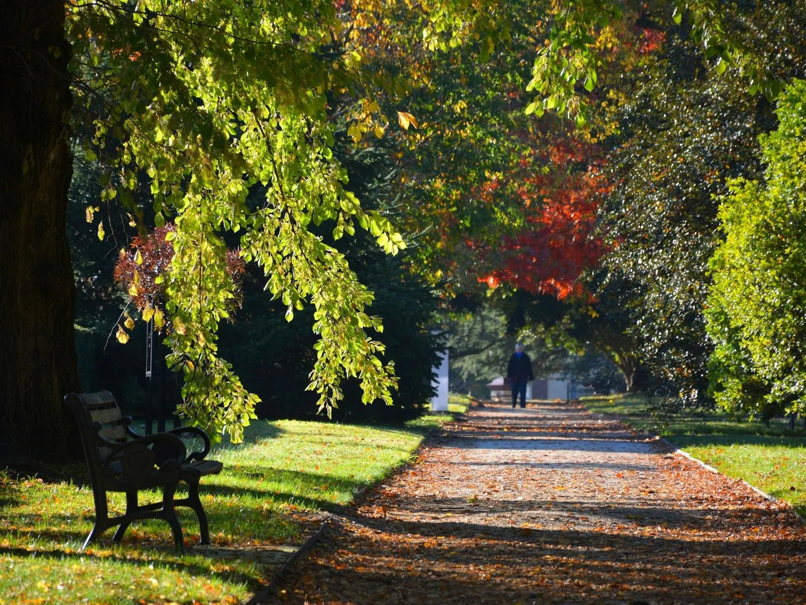 Cook Park