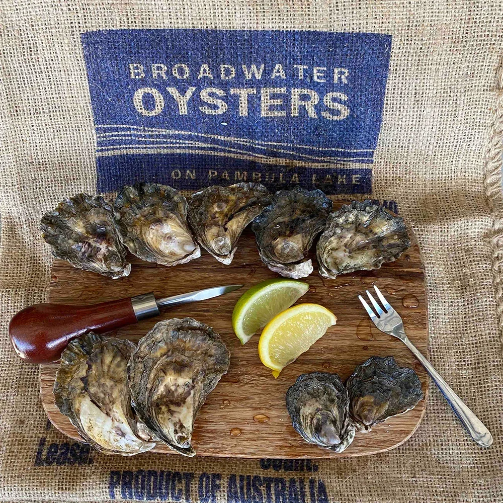 Broadwater Oysters