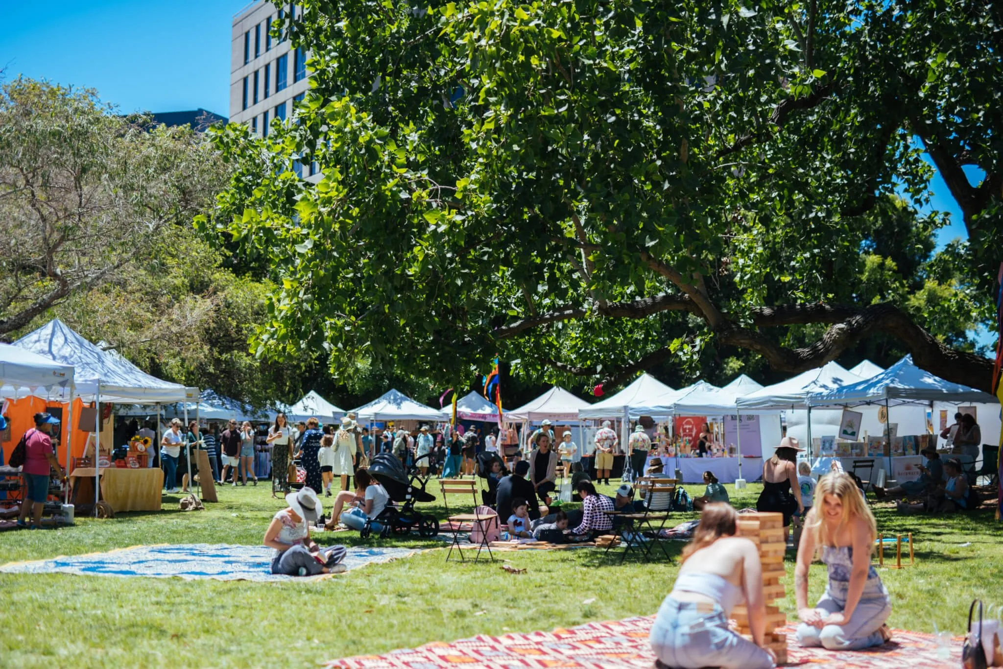 The Olive Tree Market