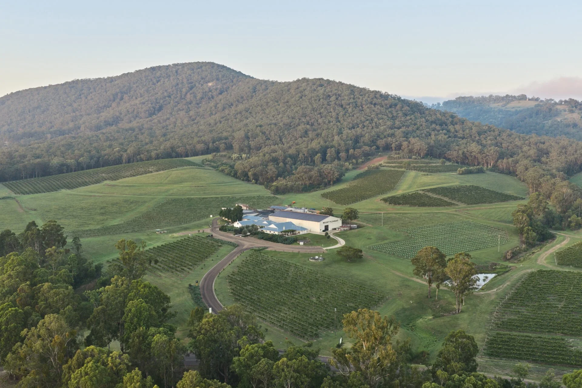 Mount Pleasant Wines