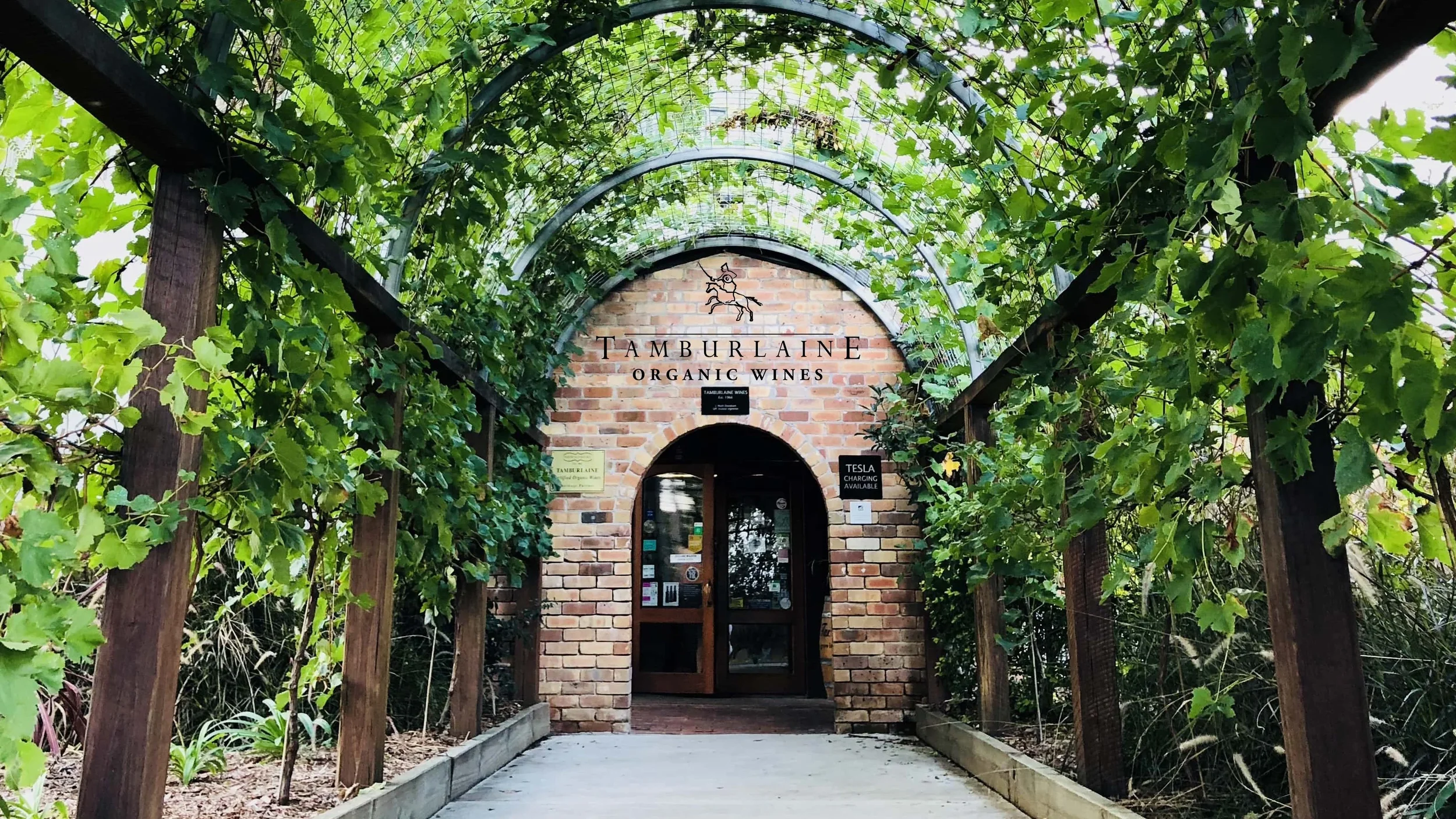 Tamburlaine Organic Wines