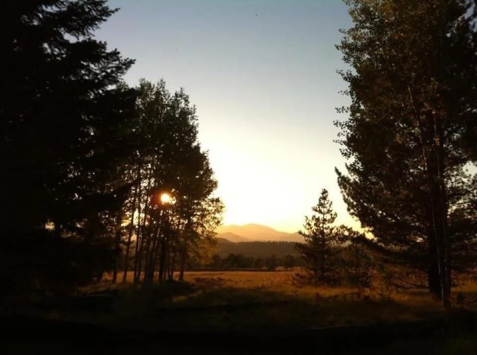 Decolonized Therapy: Returning to Roots, Land, and Ancestral Resilience