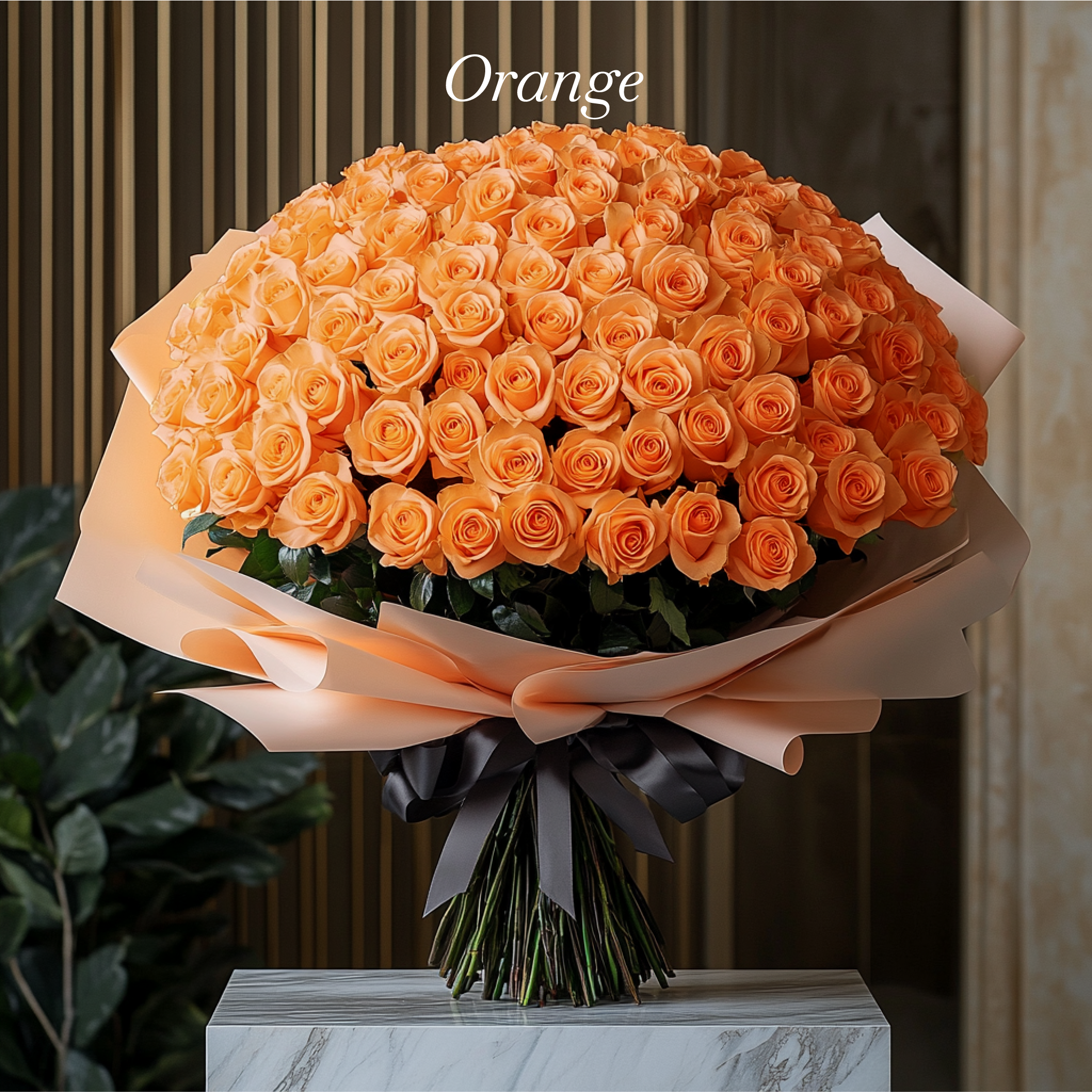 99-orange-rose.png
