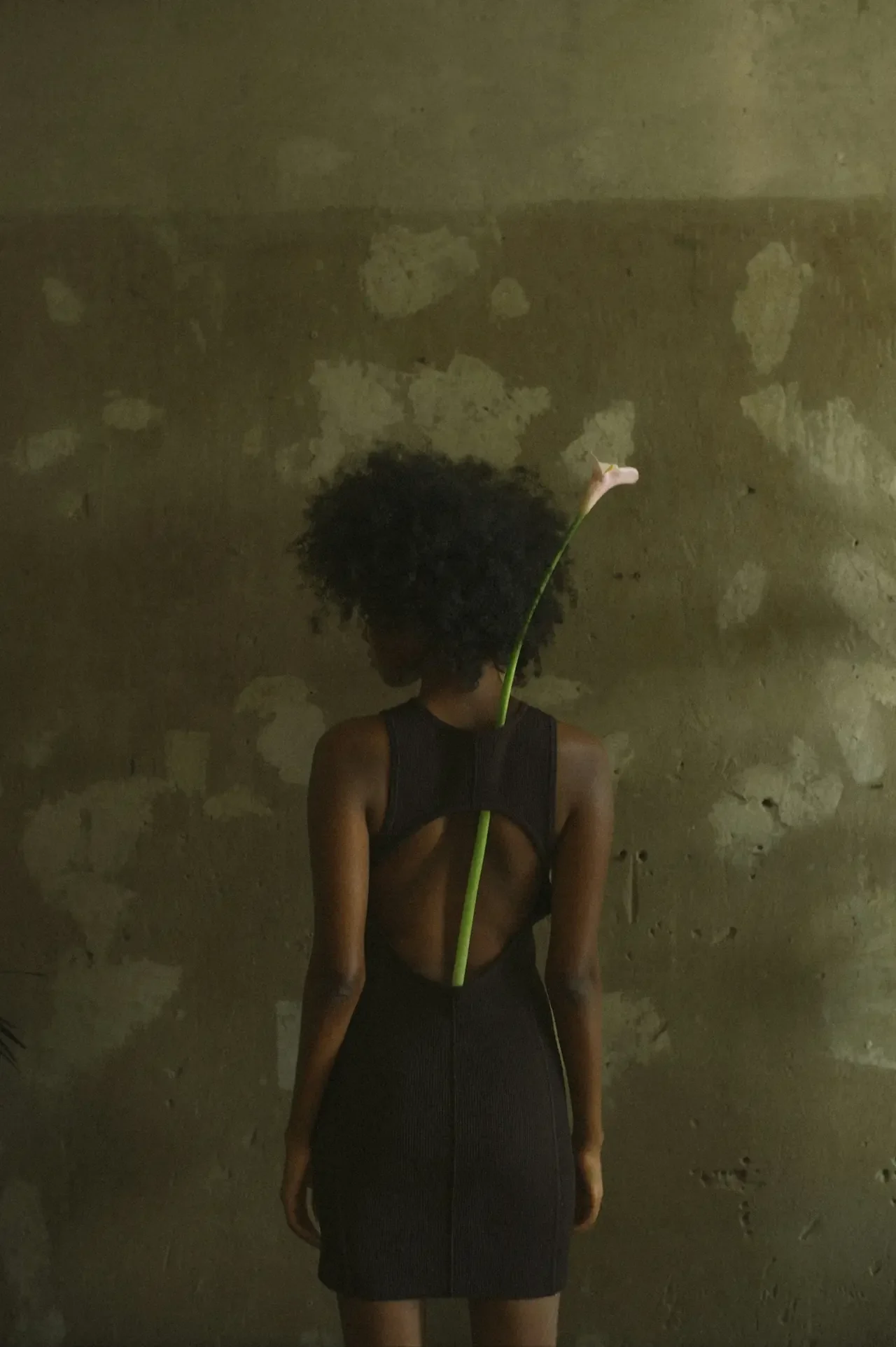 Woman seen from behind in a dark open-back dress against a textured wall, a single calla lily resting along her spine