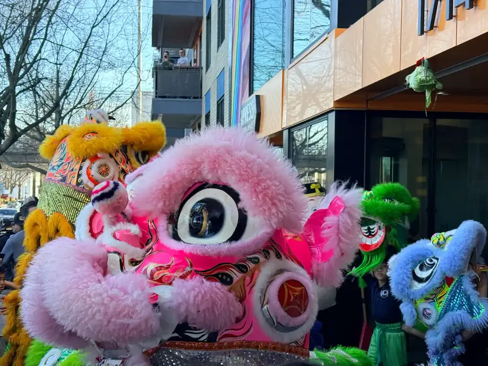 Year of the Fire Horse and ADHD: Why 2026 Sounds a Lot Like Your Everyday