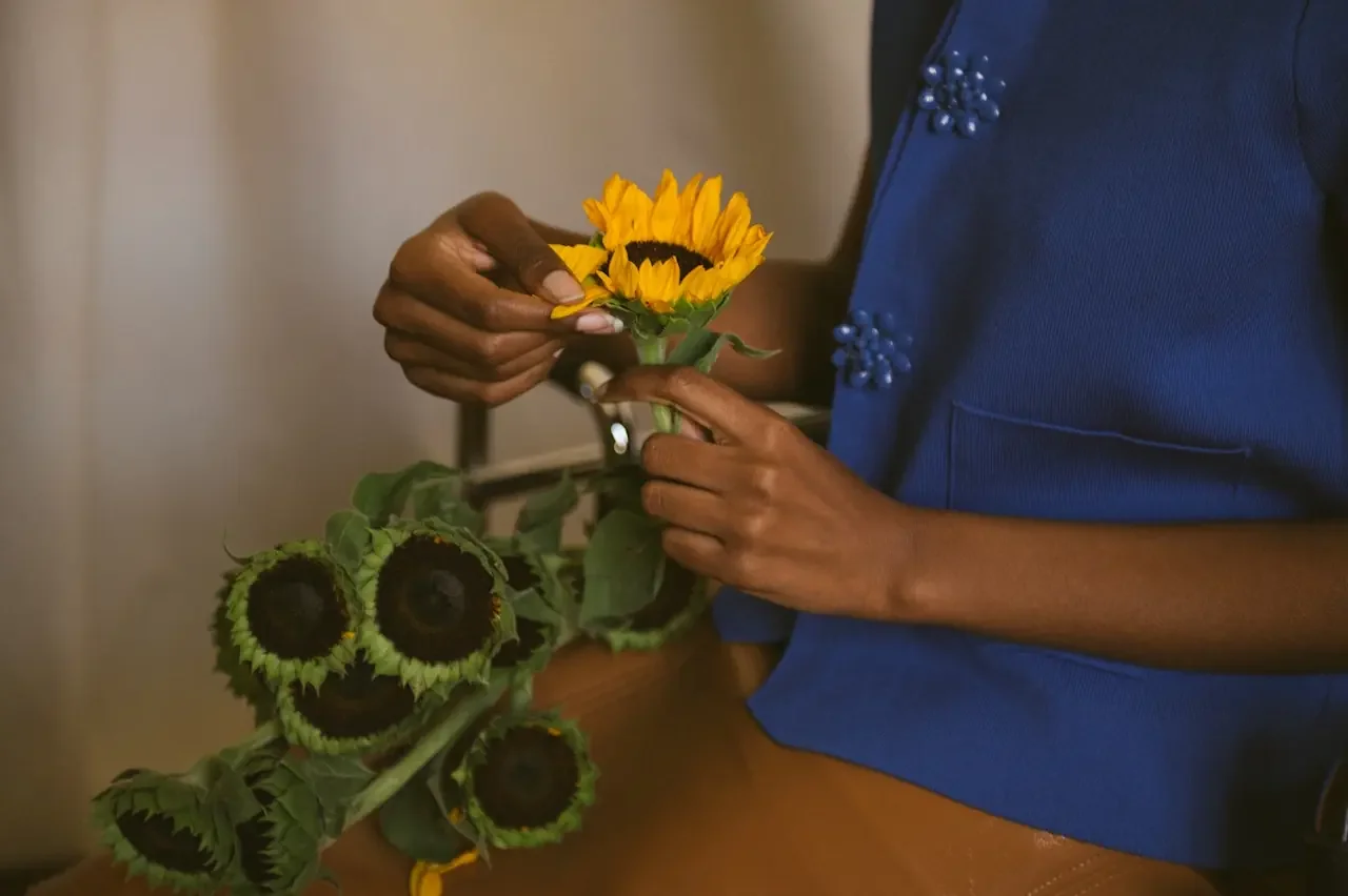 Hands cradling a single upright sunflower among several drooping blooms
