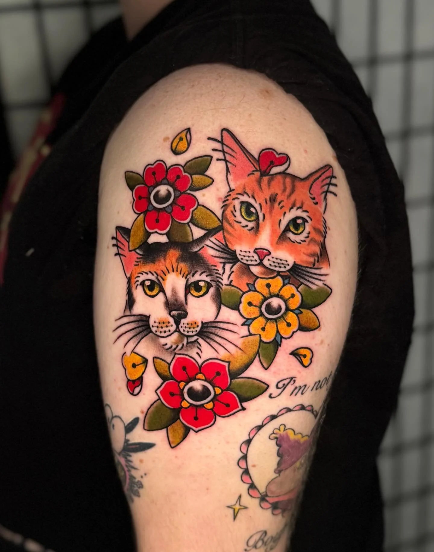 Cute little kittie portraits done on @pierced.opossum 
I had so much fun with this one :)
I would love to do more traditional pet portraits like this, if anyone&rsquo;s interested
Booking for September &amp; October
‼️DM or Email‼️