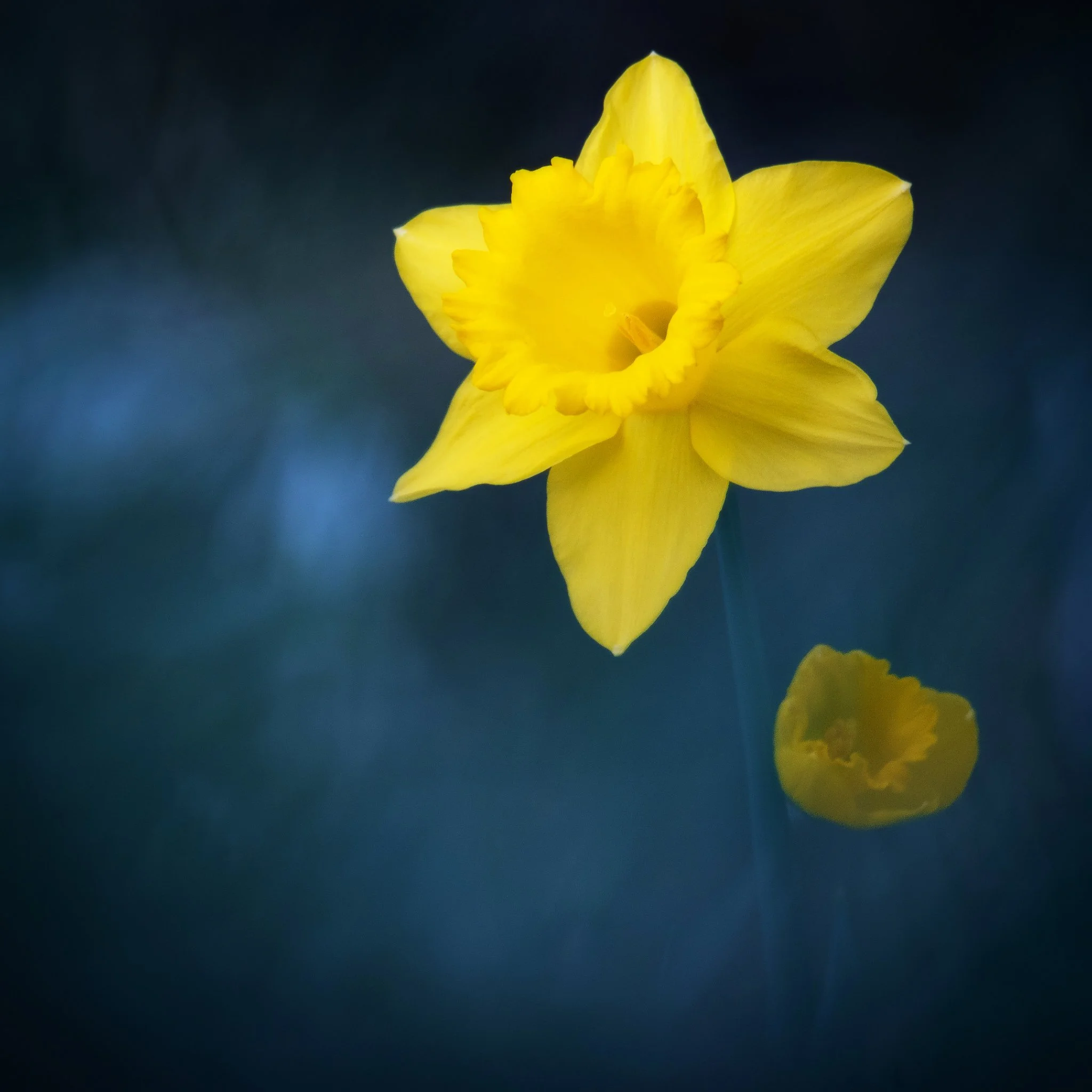 _DSC2919_2048x2048_U_100_Original ratio.jpg