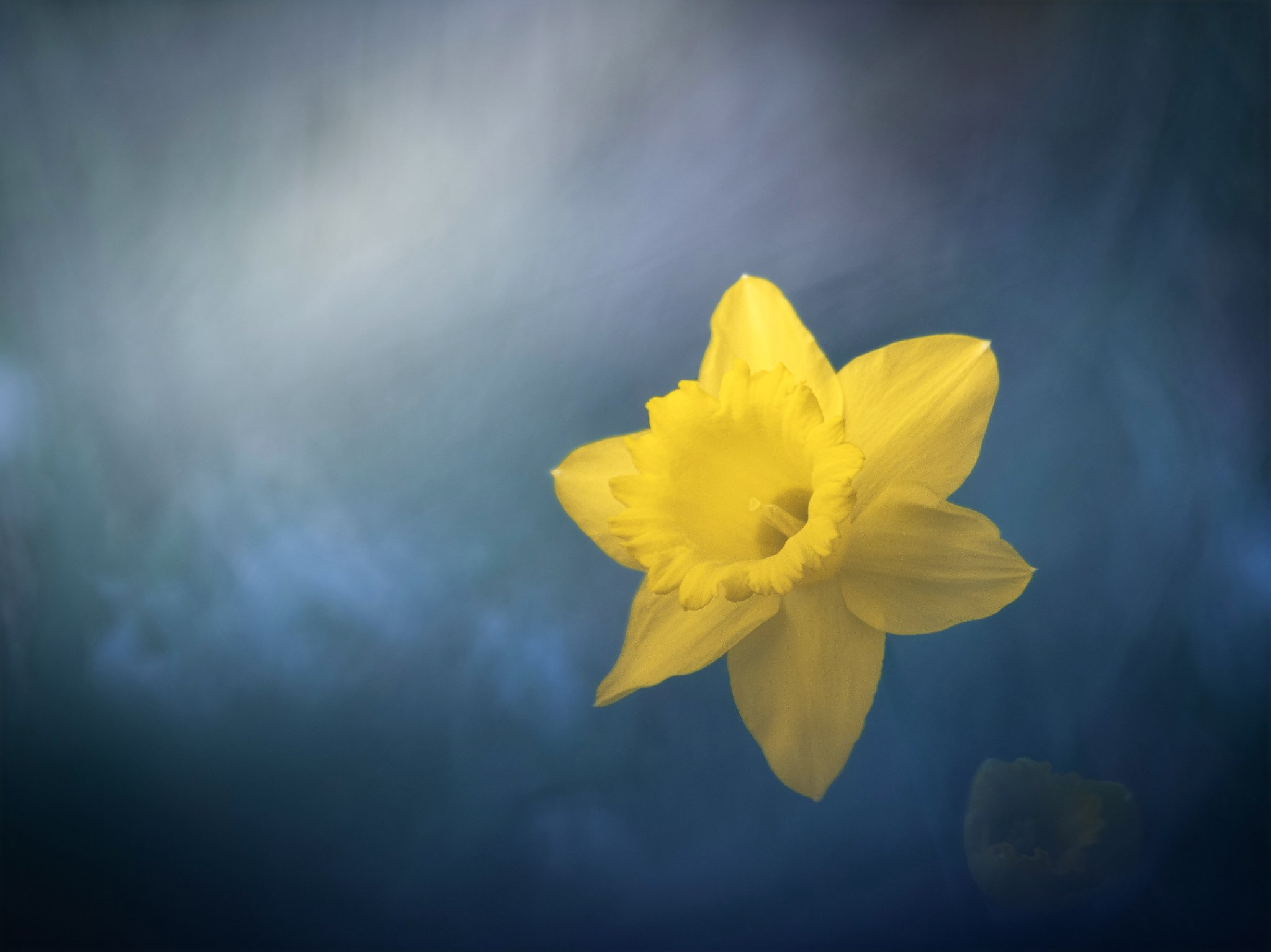 _DSC2921_2048x1534_U_100_Original ratio.jpg