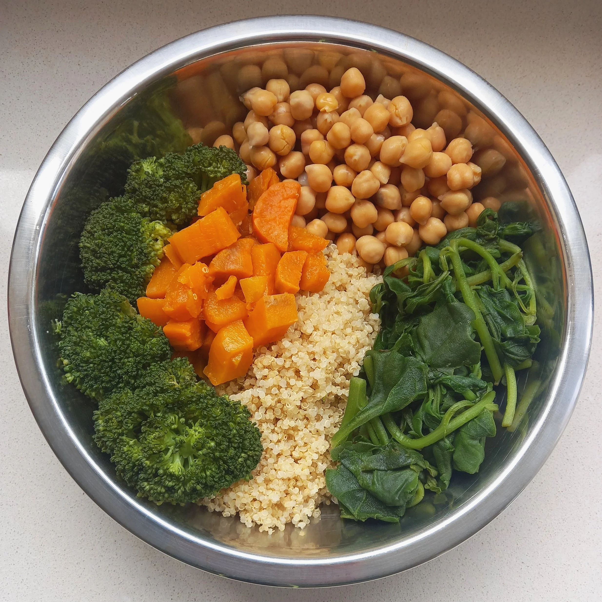 10kg Adult Plant Based Chickpea, Quinoa and Vegetable