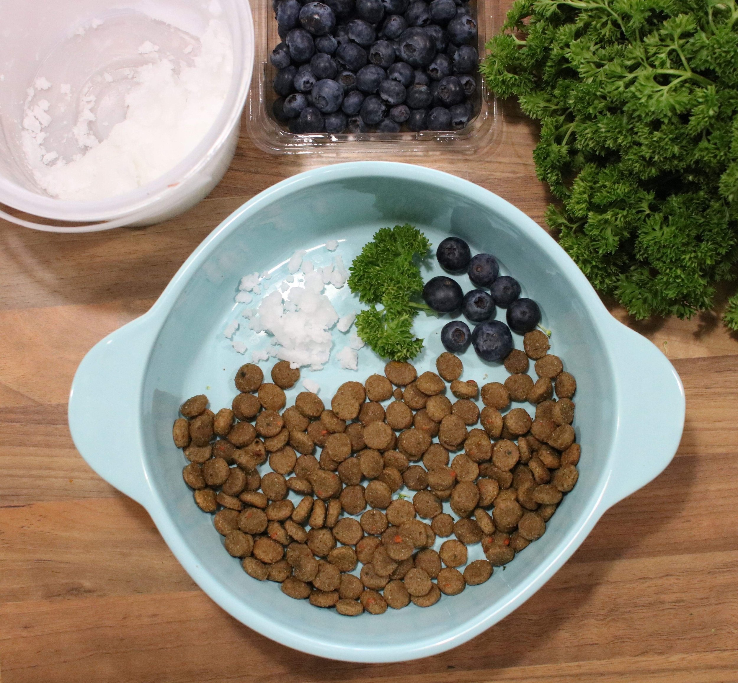 Make Your Dog’s Food Better Booklet