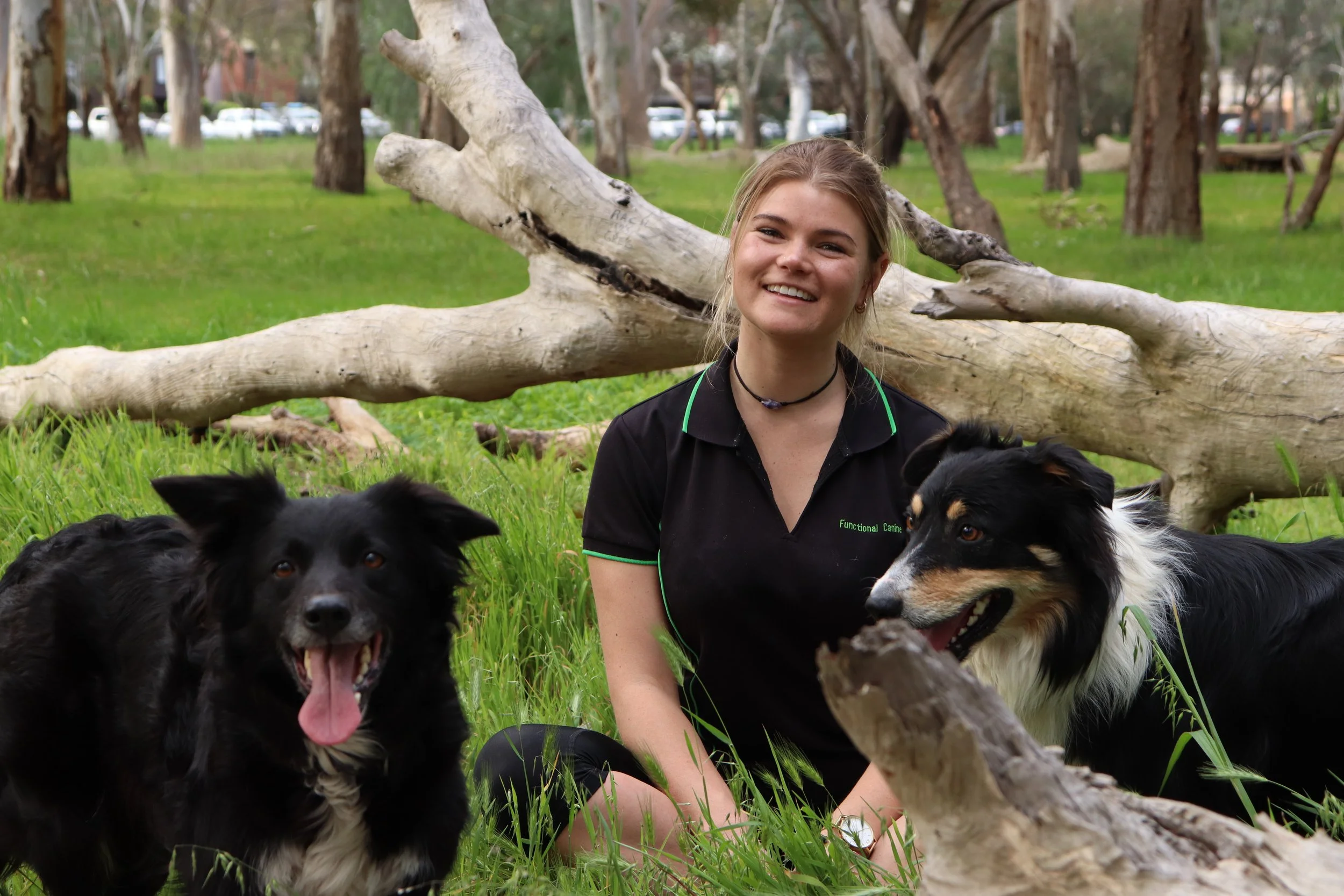 Professional Collaboration Service