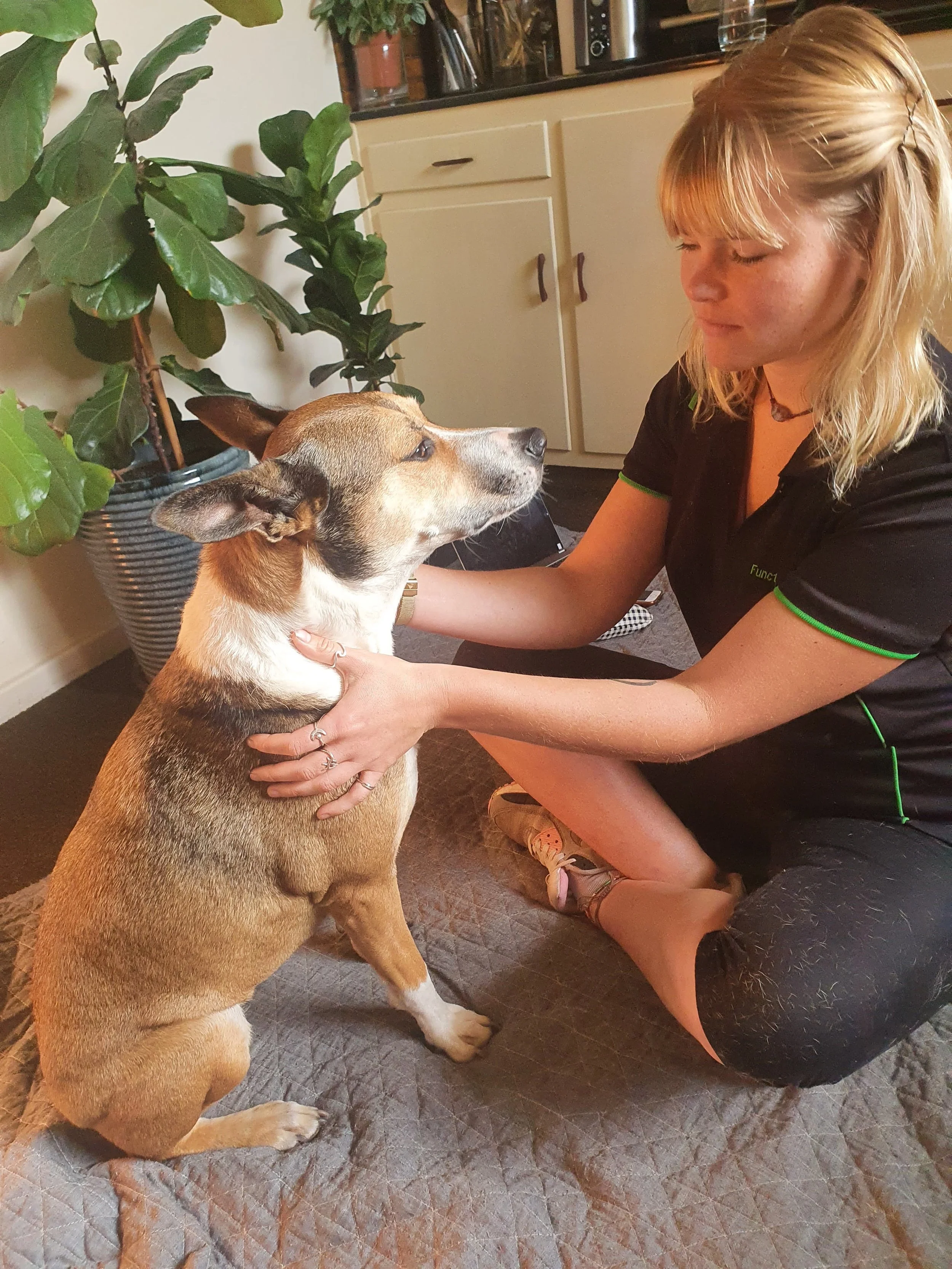 Animal Energy Healing