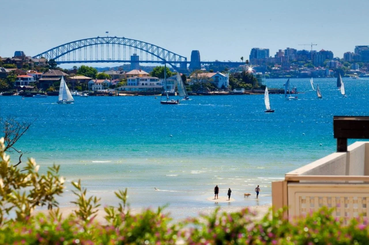 A coastal city scene with sailboats on the water, a bridge in the background, a sandy beach with people and dogs, and colorful plants in the foreground.
