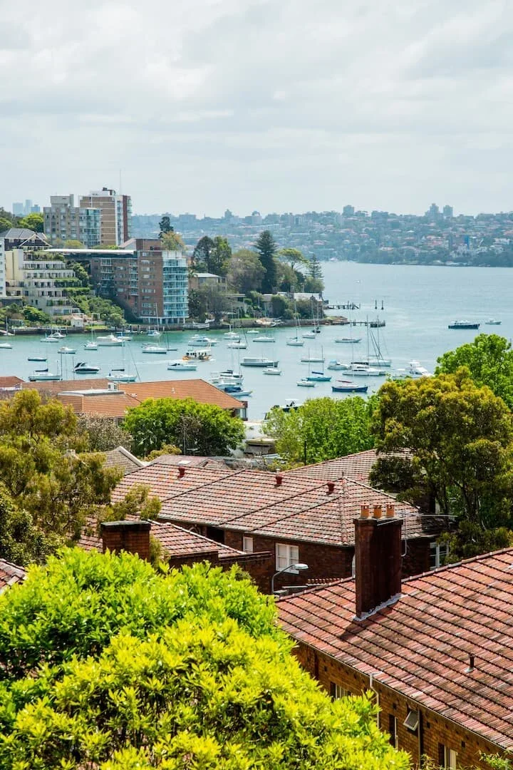 View of a coastal city with houses and high-rise buildings by the water, with boats docked in the harbor and greenery in the foreground.