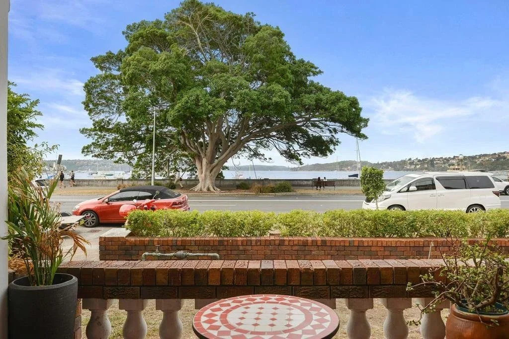 View of a large tree with lush green leaves across a waterfront street. There are cars parked and a bench with a person sitting on it near the shoreline. In the foreground, there are potted plants and a small round table with a mosaic pattern.