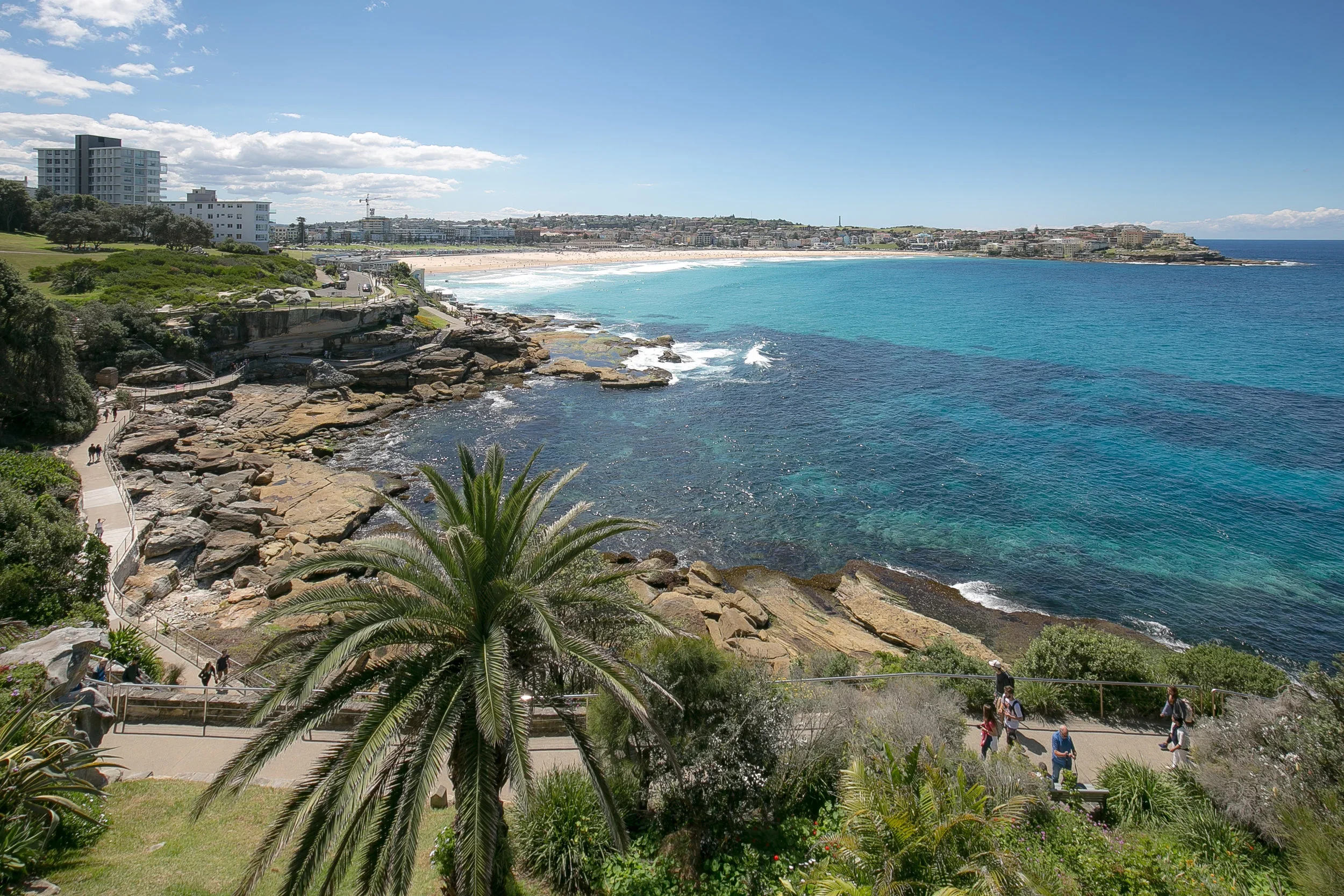 View of a beach with rocky shoreline, palm trees, and a walkway with people, with modern buildings in the background and a clear blue sky.