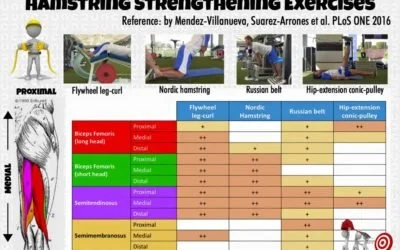 What Hamstring Exercise Should I Do?