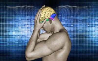 Chronic Pain = Less Brain