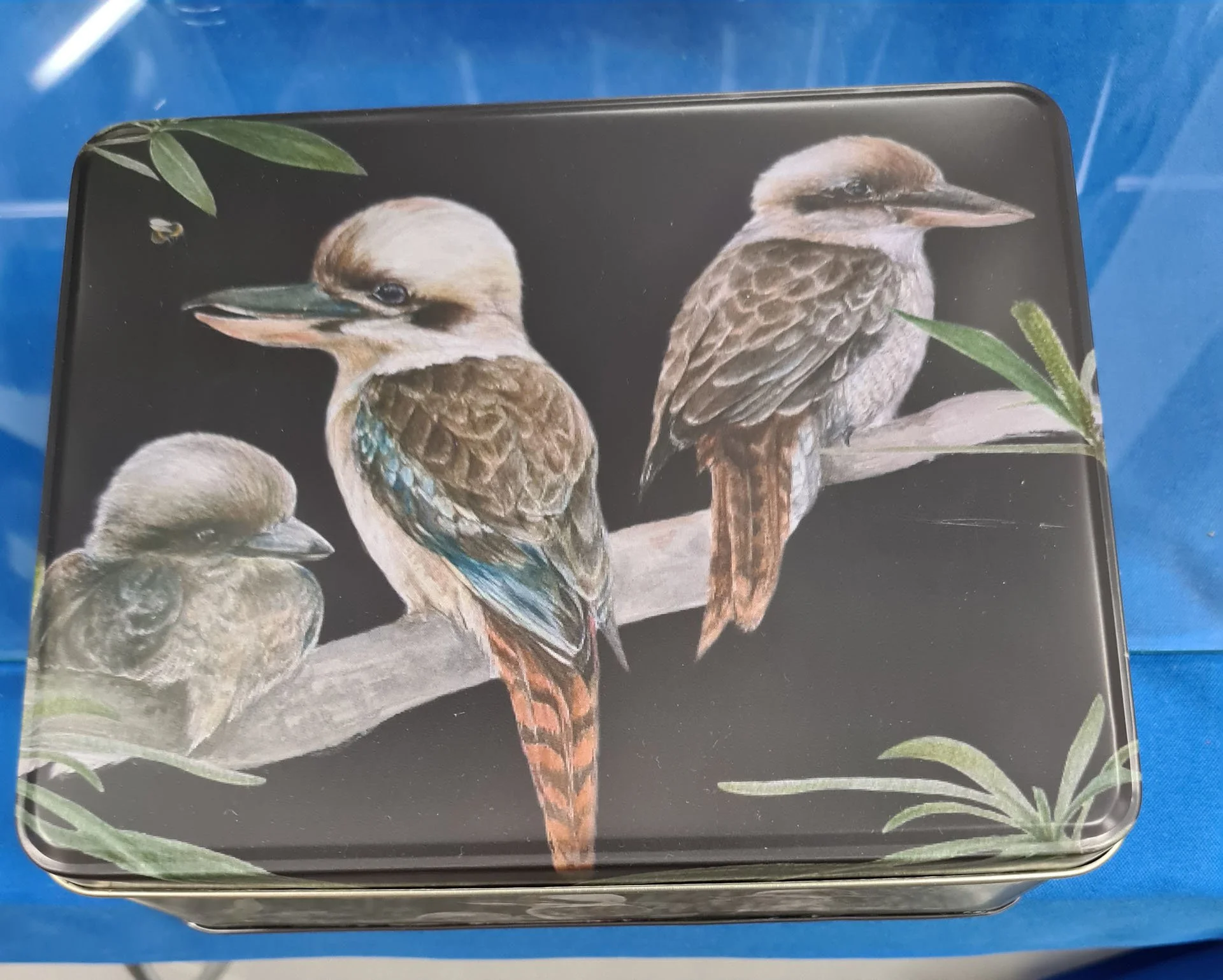 Kookaburra Biscuit Tin.jpg