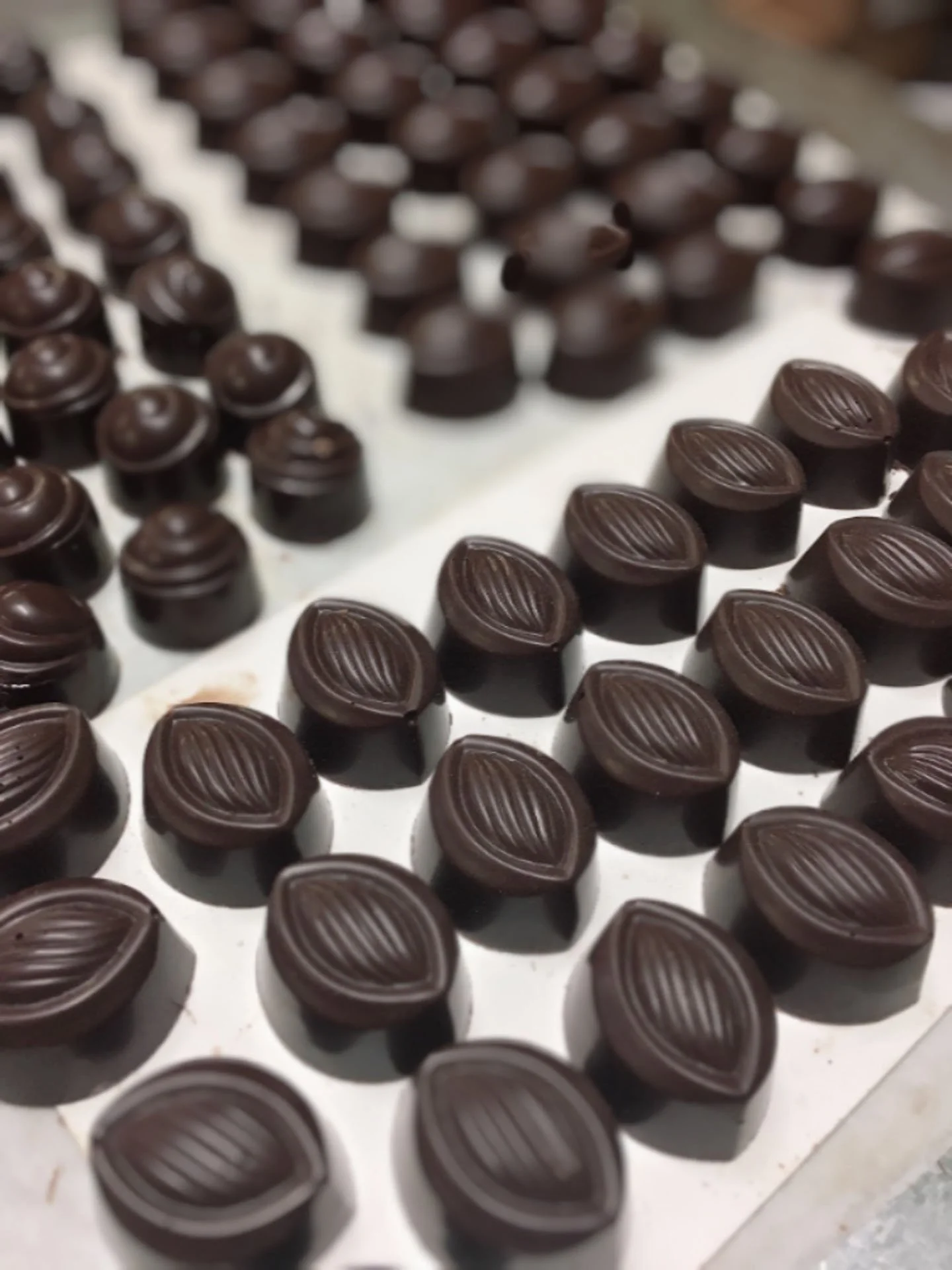 Ginger Assortment 16.jpg