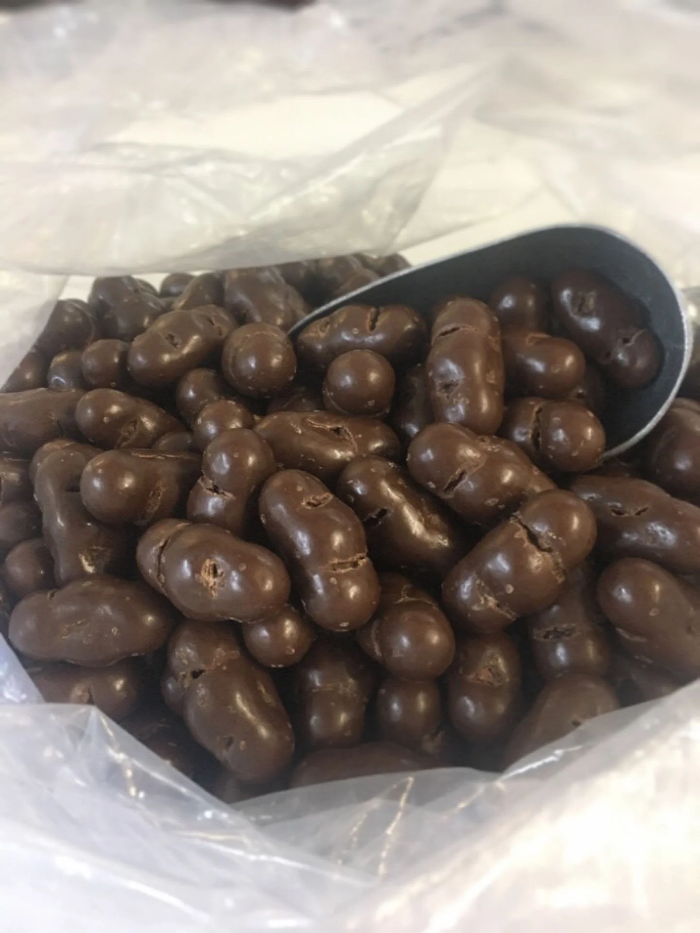 Chocolate Covered Chicos (Cheekies).jpg