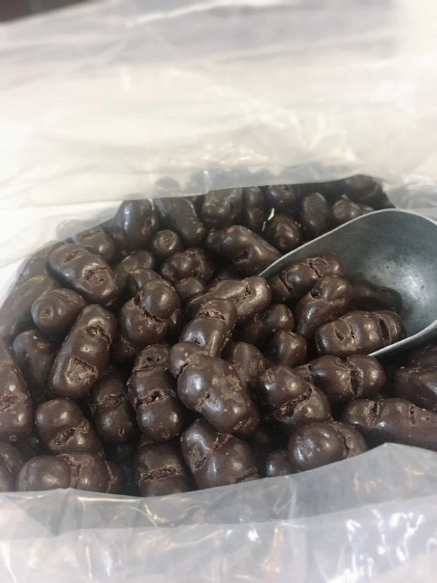 Chocolate Covered Chicos (Cheekies) 3.jpg