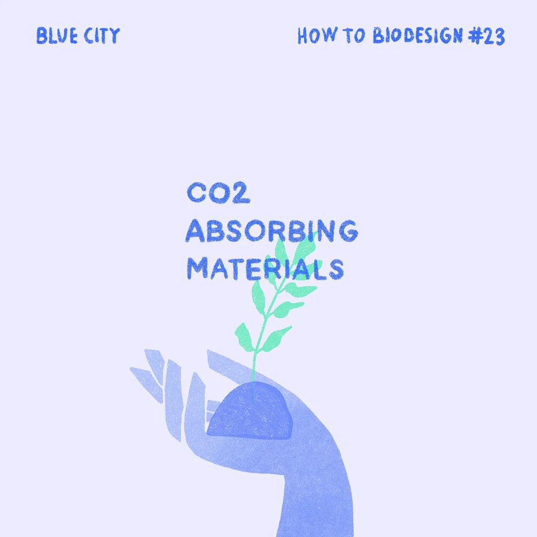 How_to_biodesign_#23_visualisatiecover 2.jpg