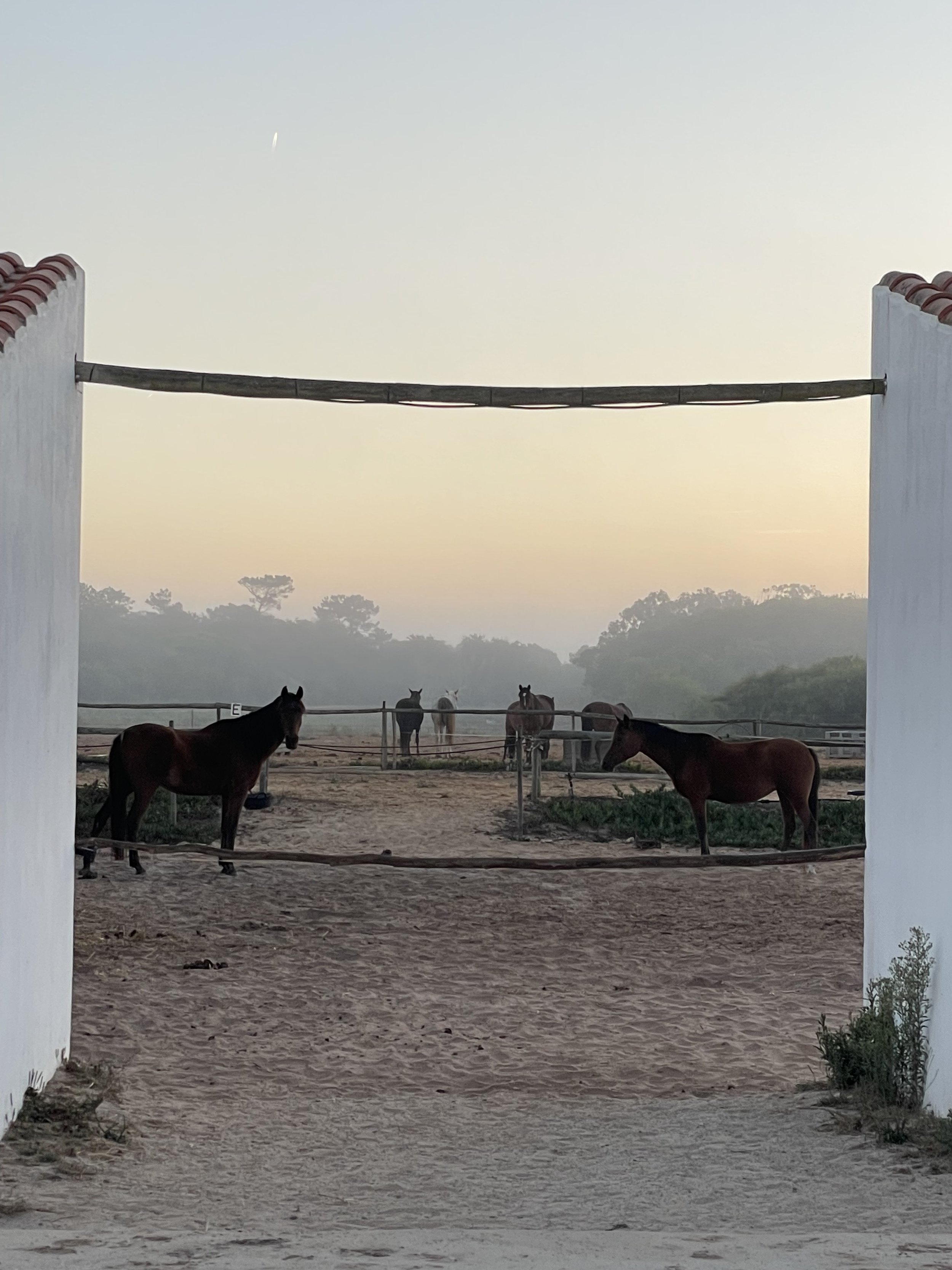 Floral Retreat in Monte Meu, a beutiful old building, beautiful venue for events and accomandation for retreats. Horses, horse riding on the cliffs