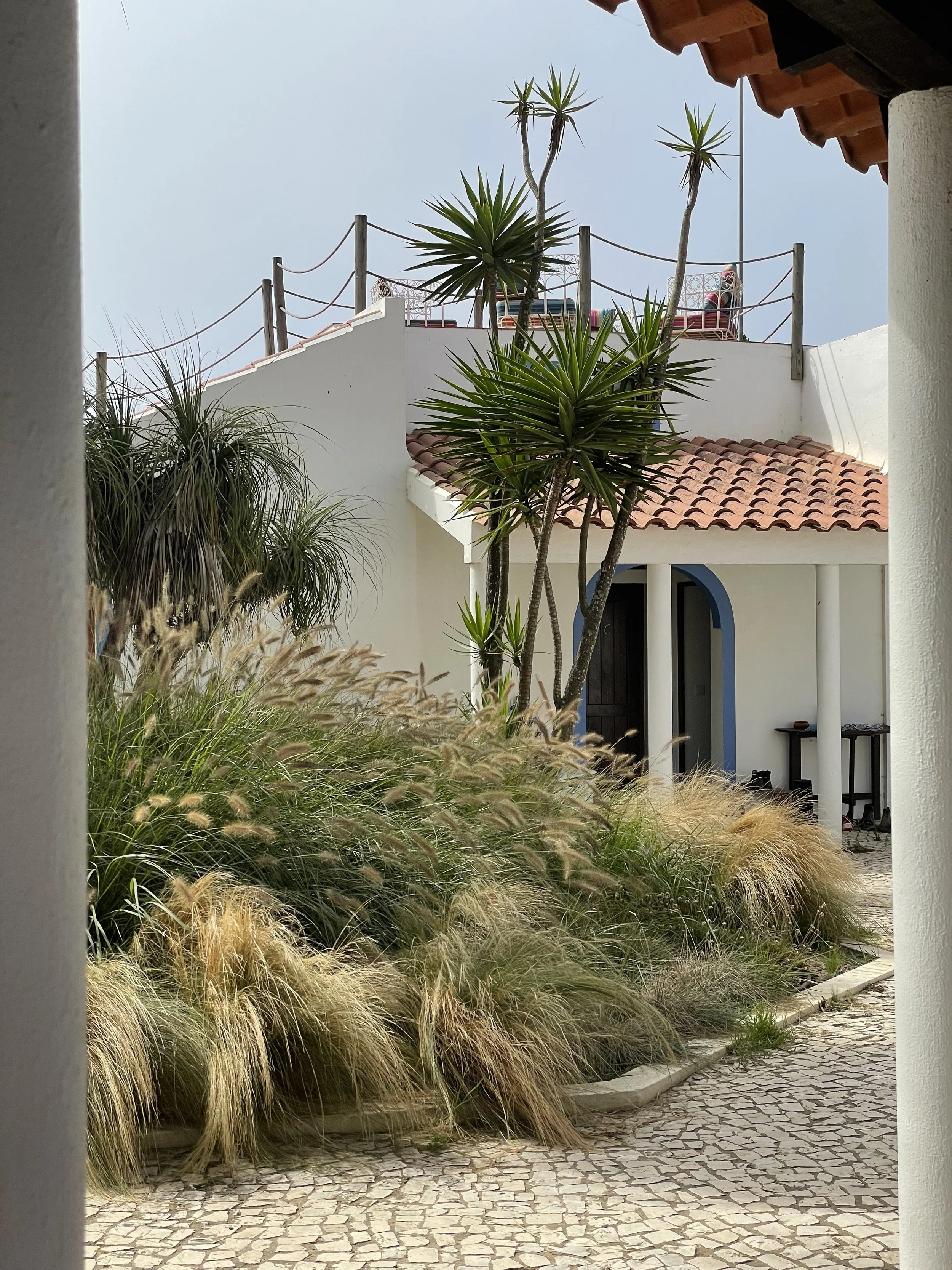 Spring Floral Retreat in Portugal (May 10–16) at Monte Meu, near Lisbon. A week of floral design workshops, seasonal blooms, and creative slow living. Learn sustainable floristry, connect with nature, and recharge in our retreat.