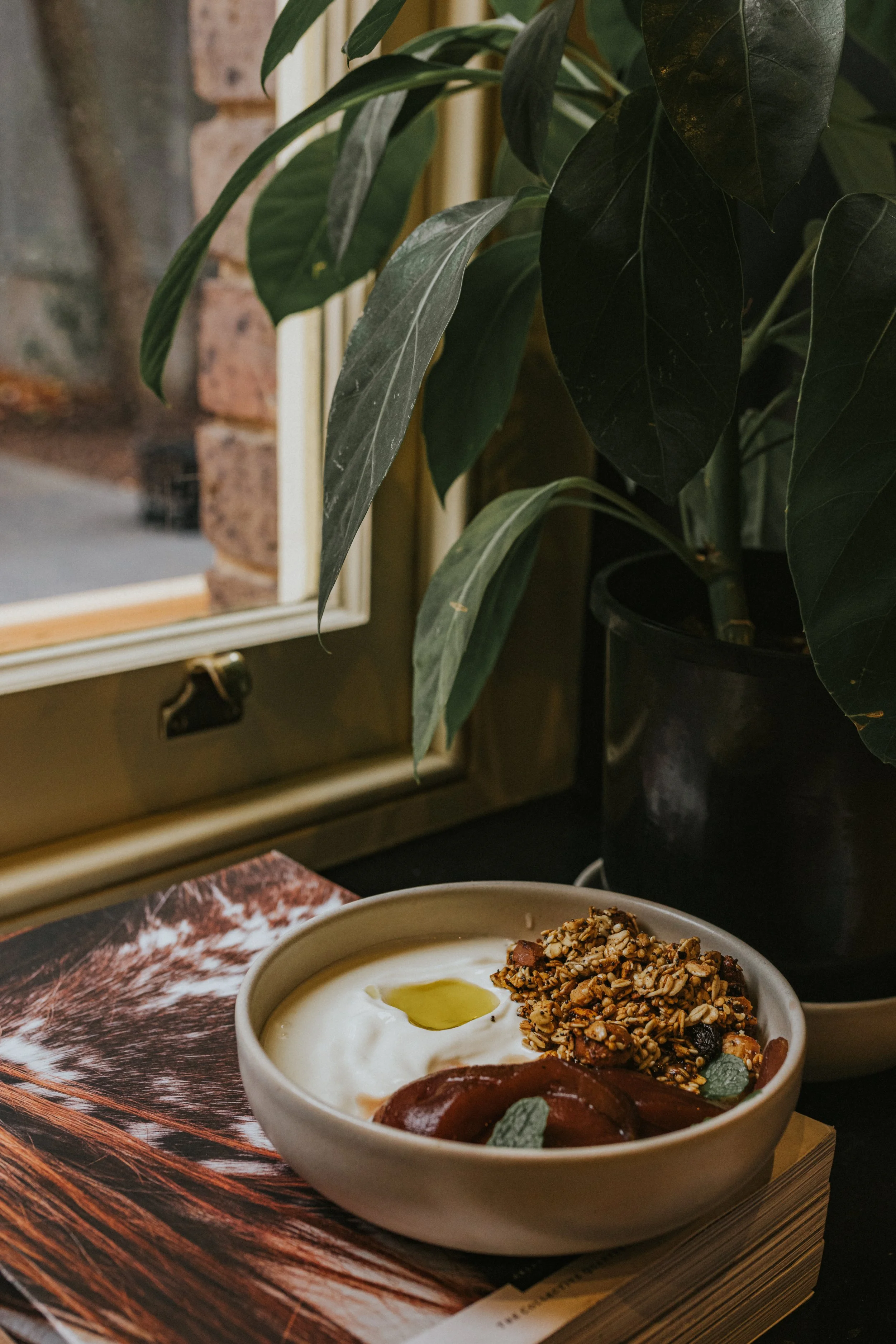 A breakfast bowl of yogurt topped with honey, granola, dried fruit, and herbs, placed on top of a magazine next to a window with a large leafy potted plant.